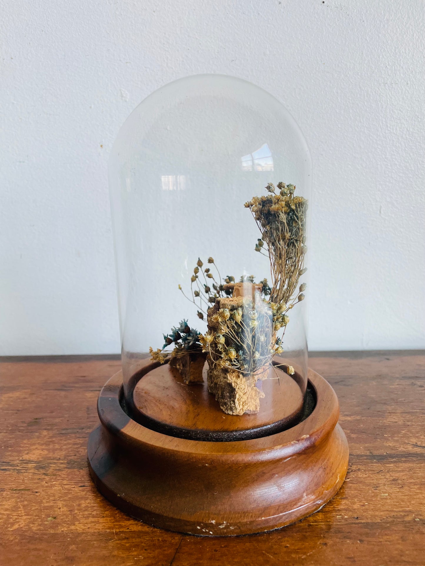 Vintage Glass Terrarium Cloche Dome on Wood Base with Dried Flower Display - Nature Decor