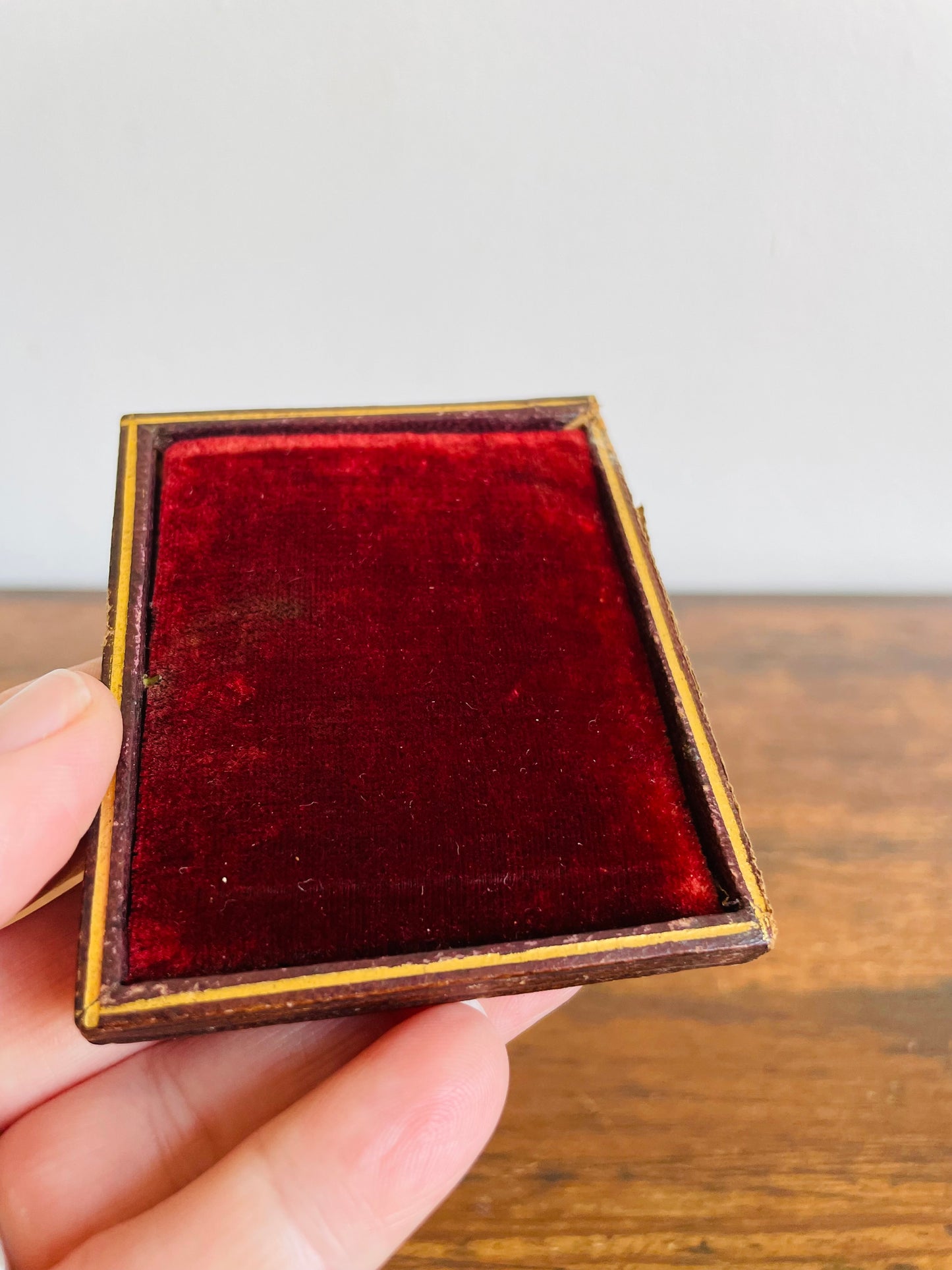 Antique 1800s Ambrotype or Daguerreotype Leather & Brass Photo Frame Case Filled with Dried Flowers