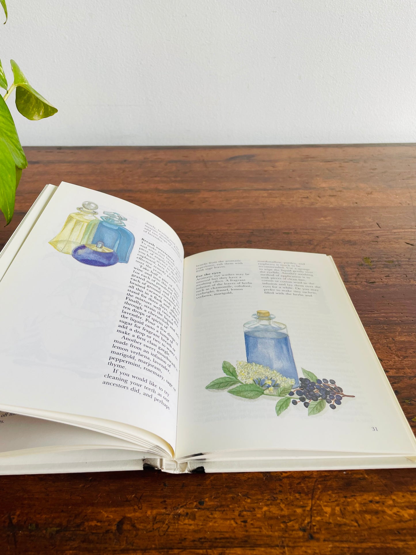 Pot Pourri and Other Scented Delights Hardcover Book by The National Trust (1987)