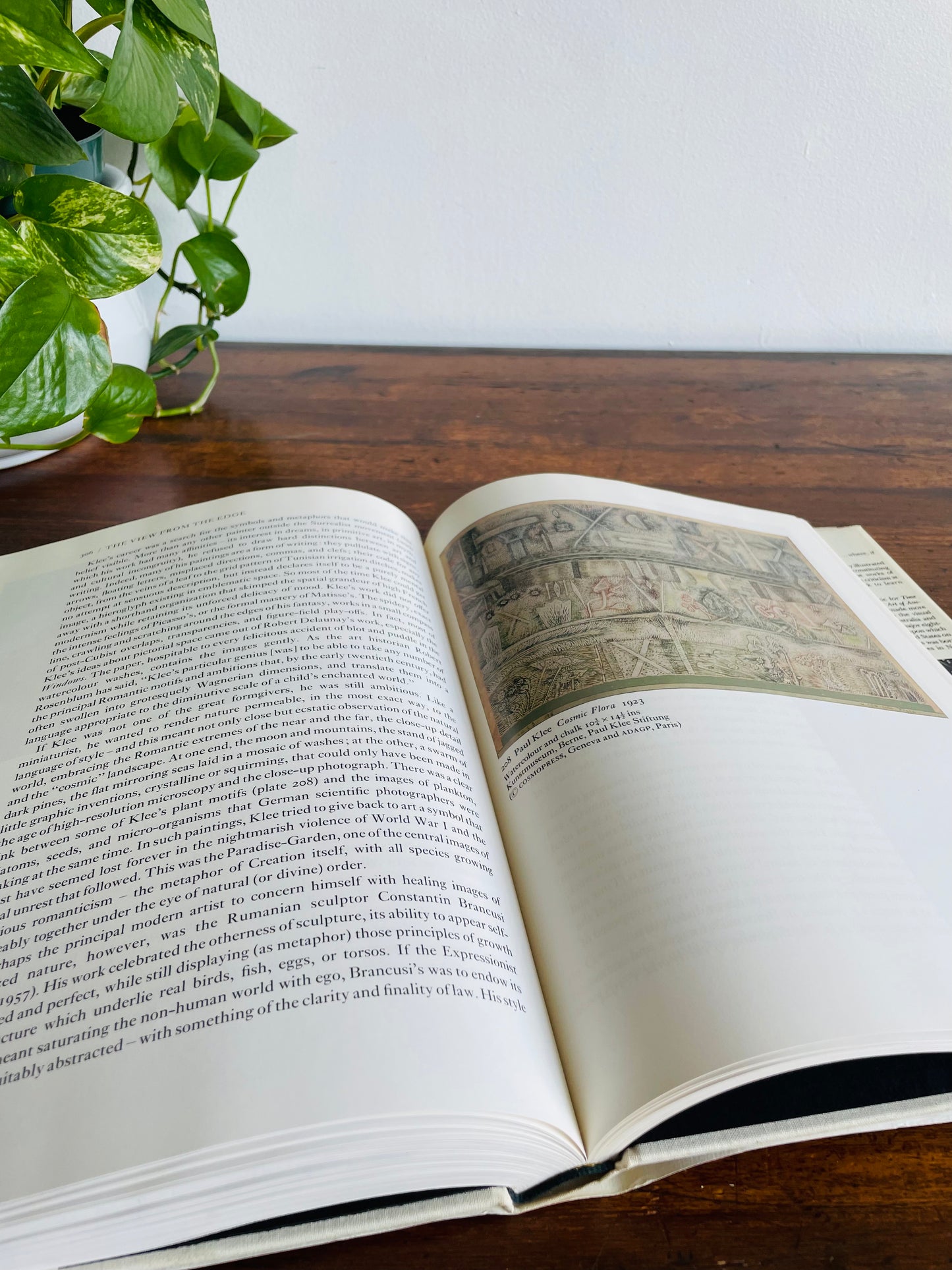 The Shock of The New: The Hundred-Year History of Modern Art Hardcover Book by Robert Hughes (1980)