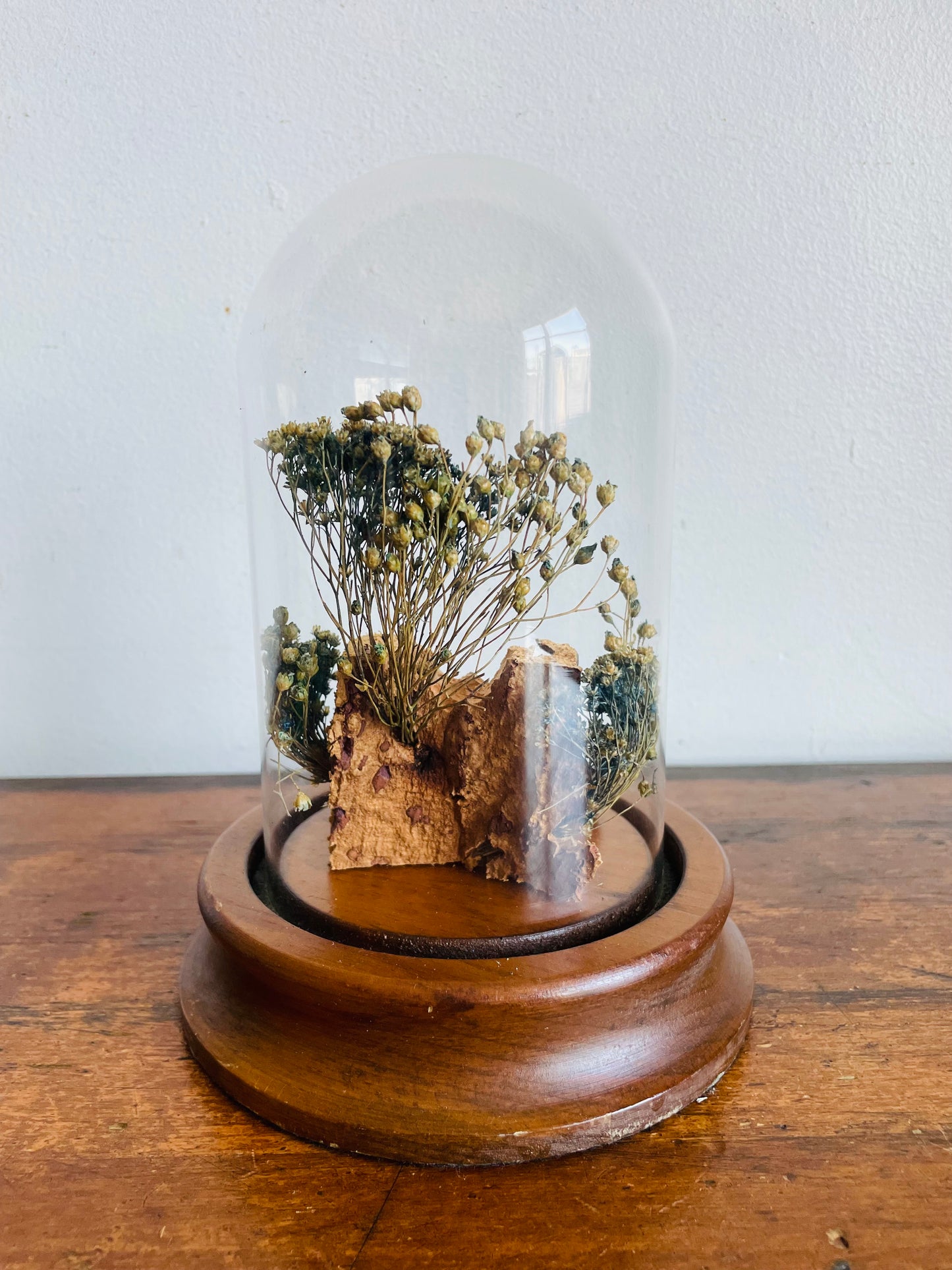 Vintage Glass Terrarium Cloche Dome on Wood Base with Dried Flower Display - Nature Decor