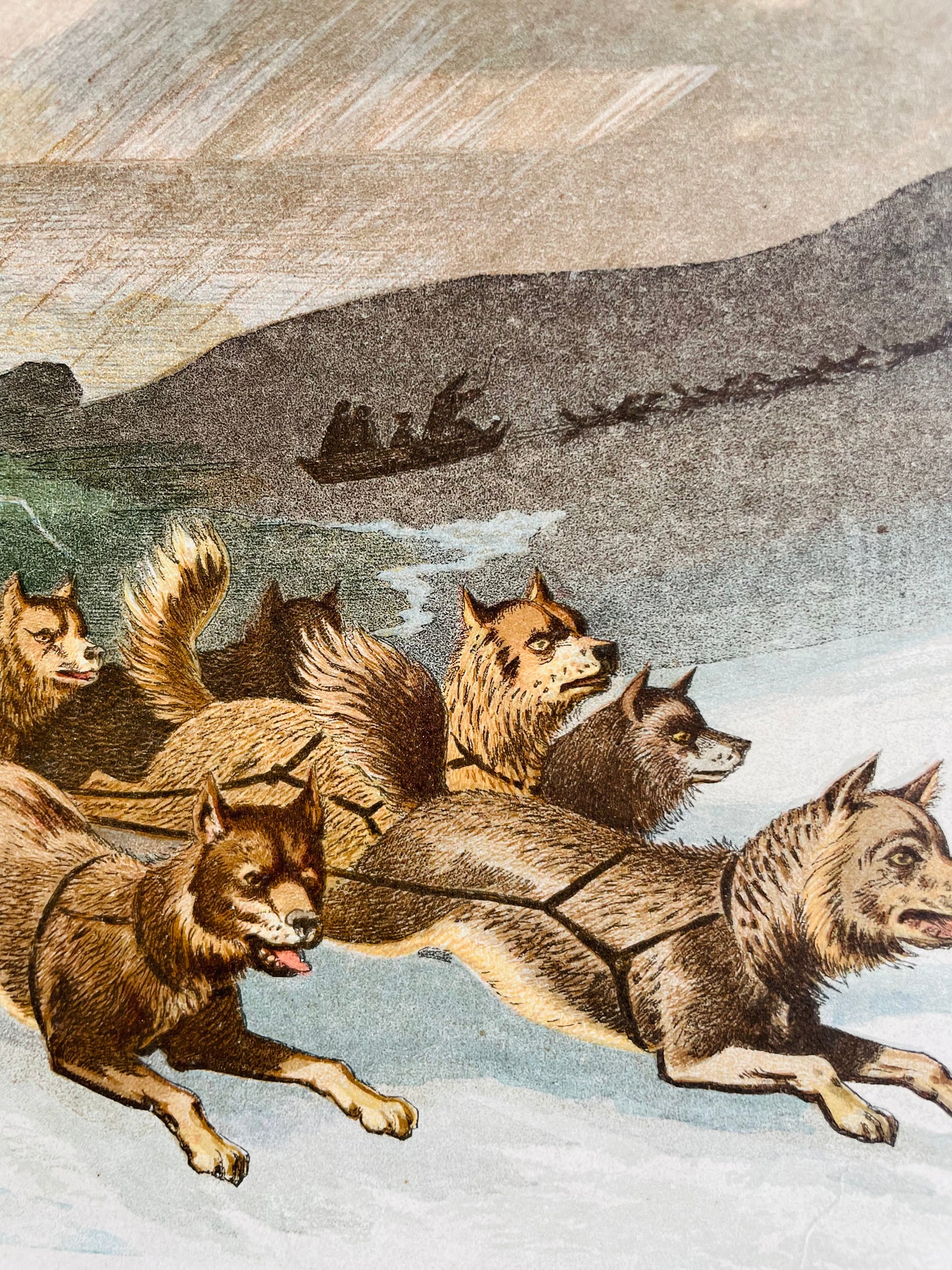 Vintage Lithograph Print Picture - "Wonderful Escape on the Breaking Up of the Ice" with Dog Sled Team in Arctic - Kronheim and Co., London