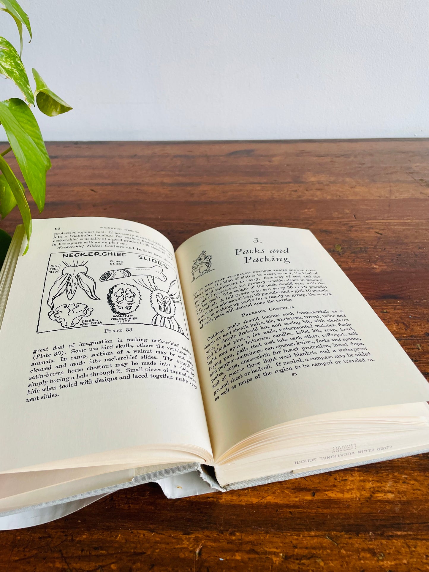 Wildwood Wisdom by Ellsworth Jaeger Hardcover Book (1971) - Camping & Woodsmanship Guide