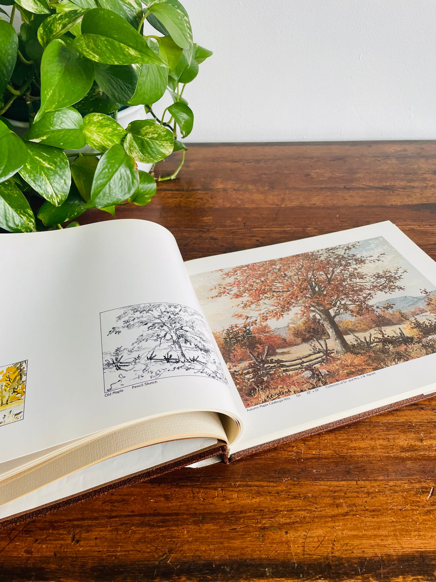 SIGNED COPY Keirstead: My Art & Thoughts Hardcover Book (1979)