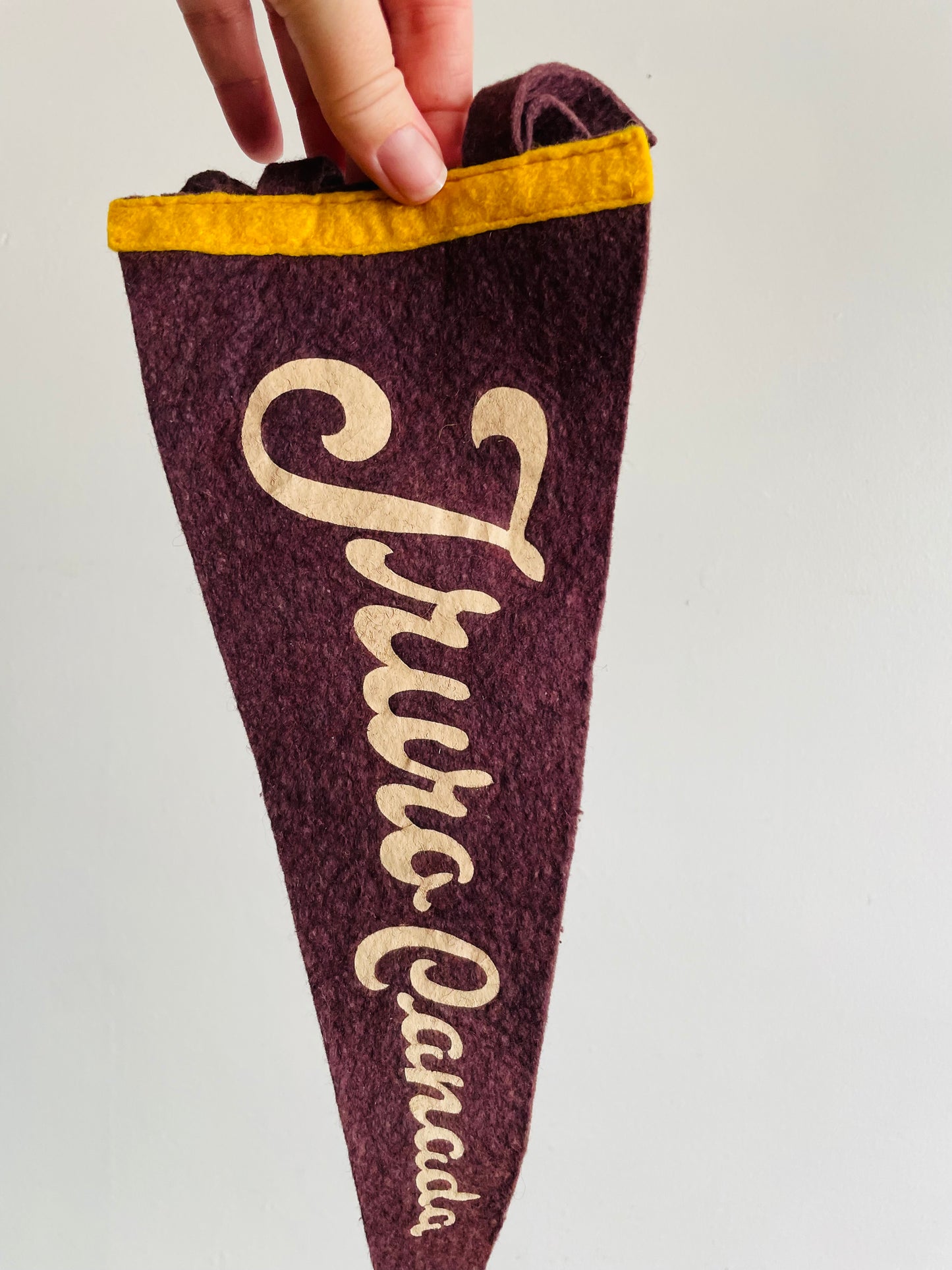 Truro Canada Nova Scotia Felt Flag Pennant