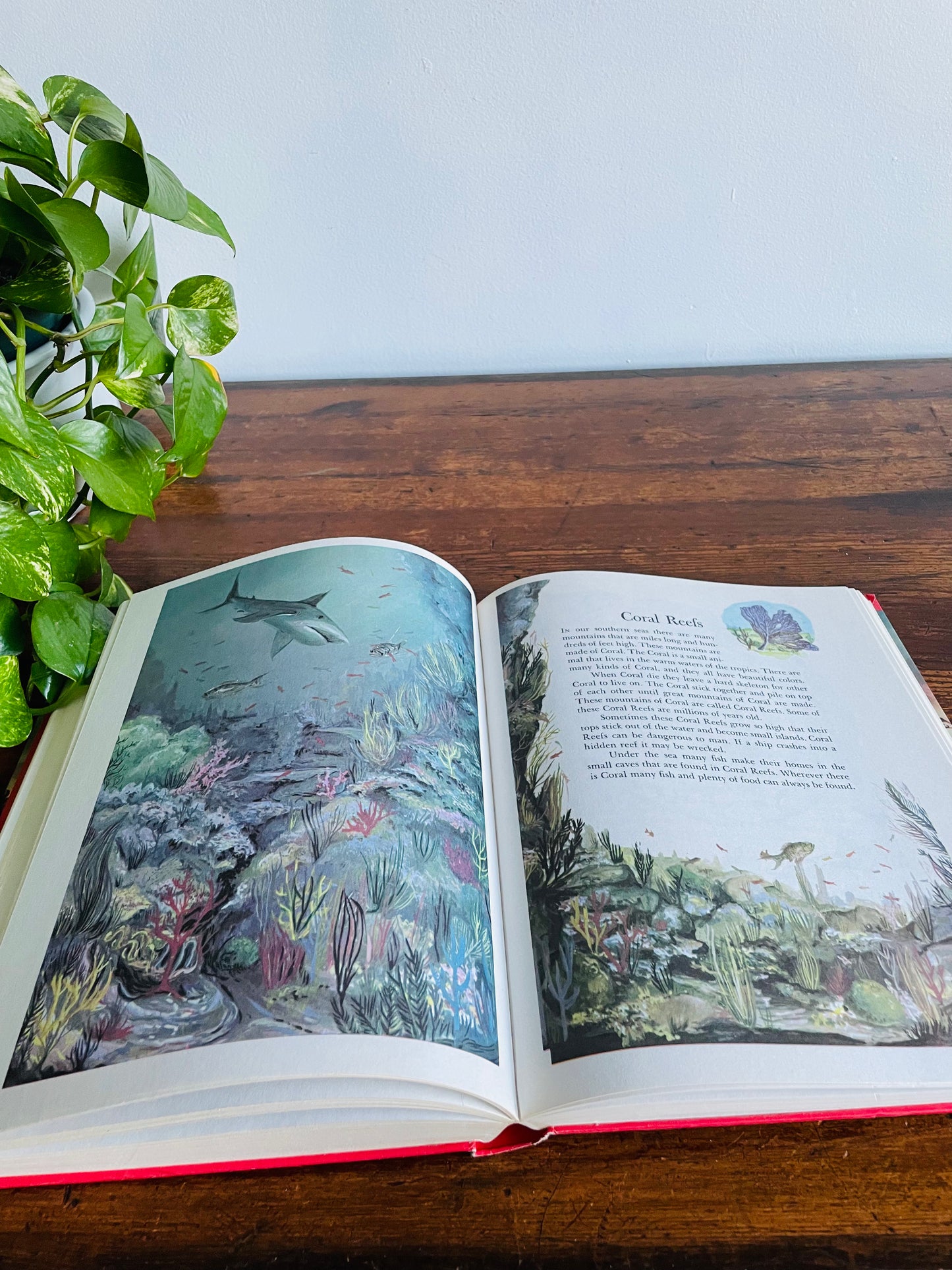 Wonders of Nature: A Child's Introduction to the World of Animals, Plants, Birds, Fish & Insects Hardcover Book by Parents' Magazine Press (1974)