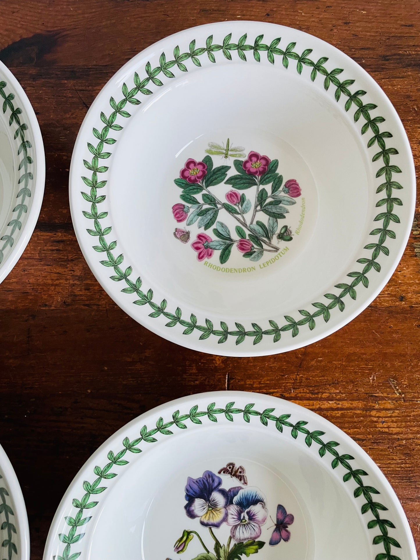 Portmeirion Susan Williams-Ellis Botanic Garden 6.5" Bowls - Set of 6 - Made in Britain