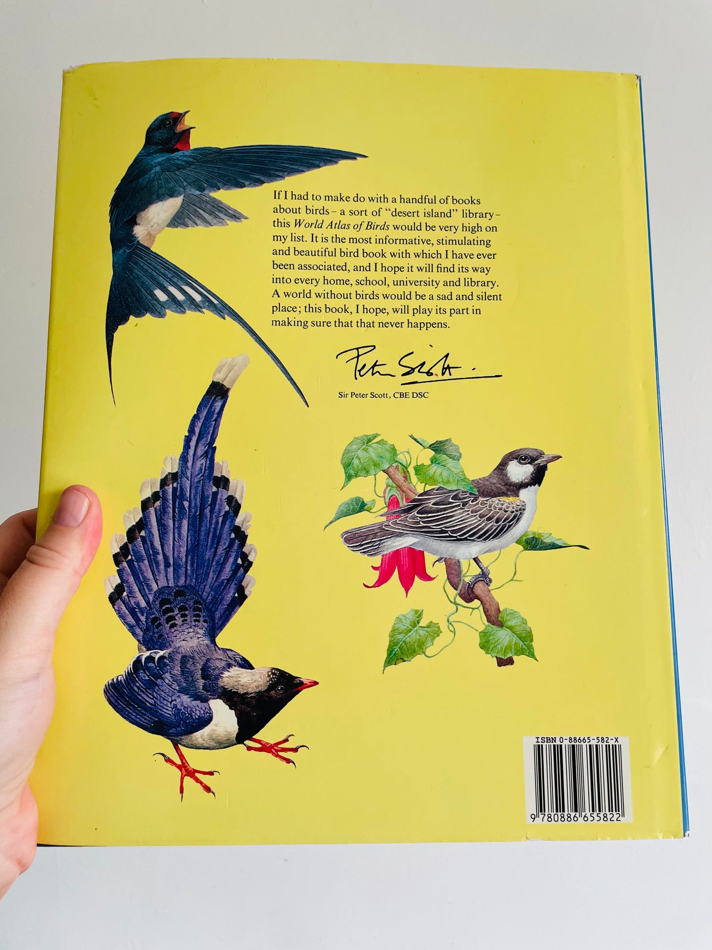 The World Atlas of Birds Large Hardcover Book by B. Mitchell (1989)