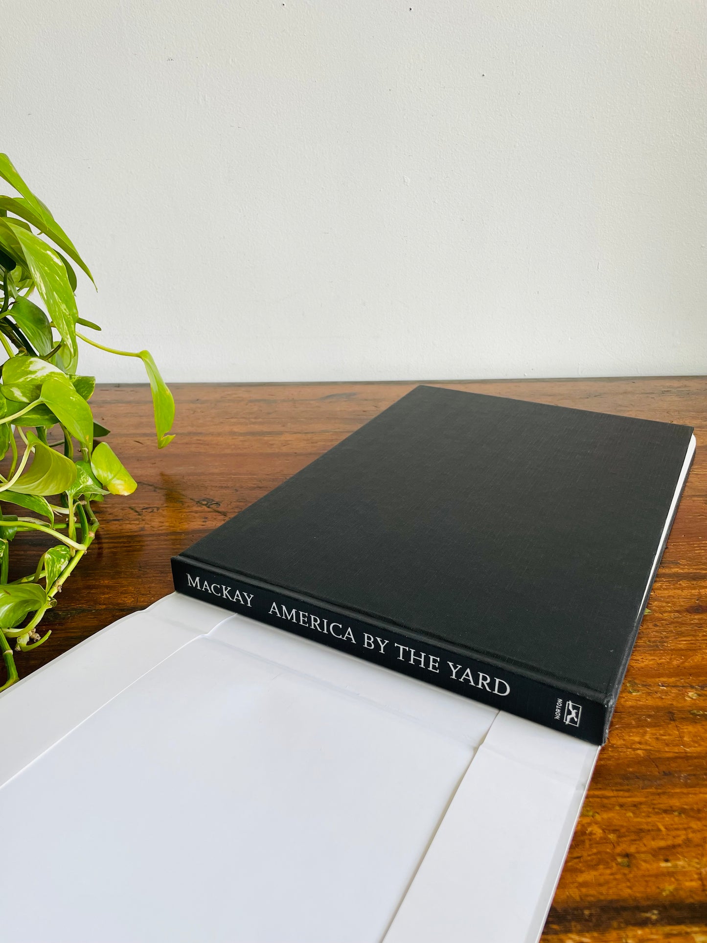 America By The Yard: Cirkut Camera - Images from the Early Twentieth Century Hardcover Coffee Table Book by Robert B. MacKay (2006)
