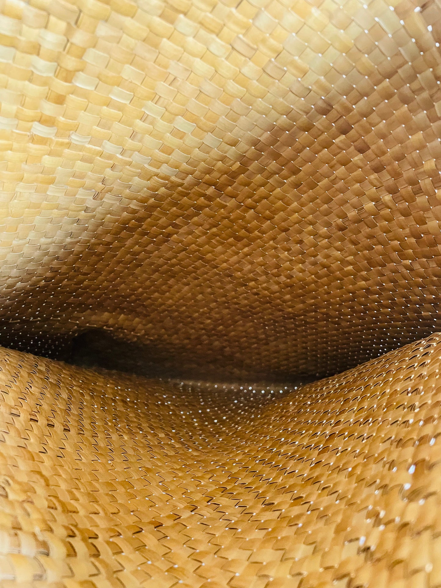 Woven Straw Purse Bag with Handles & Buckle