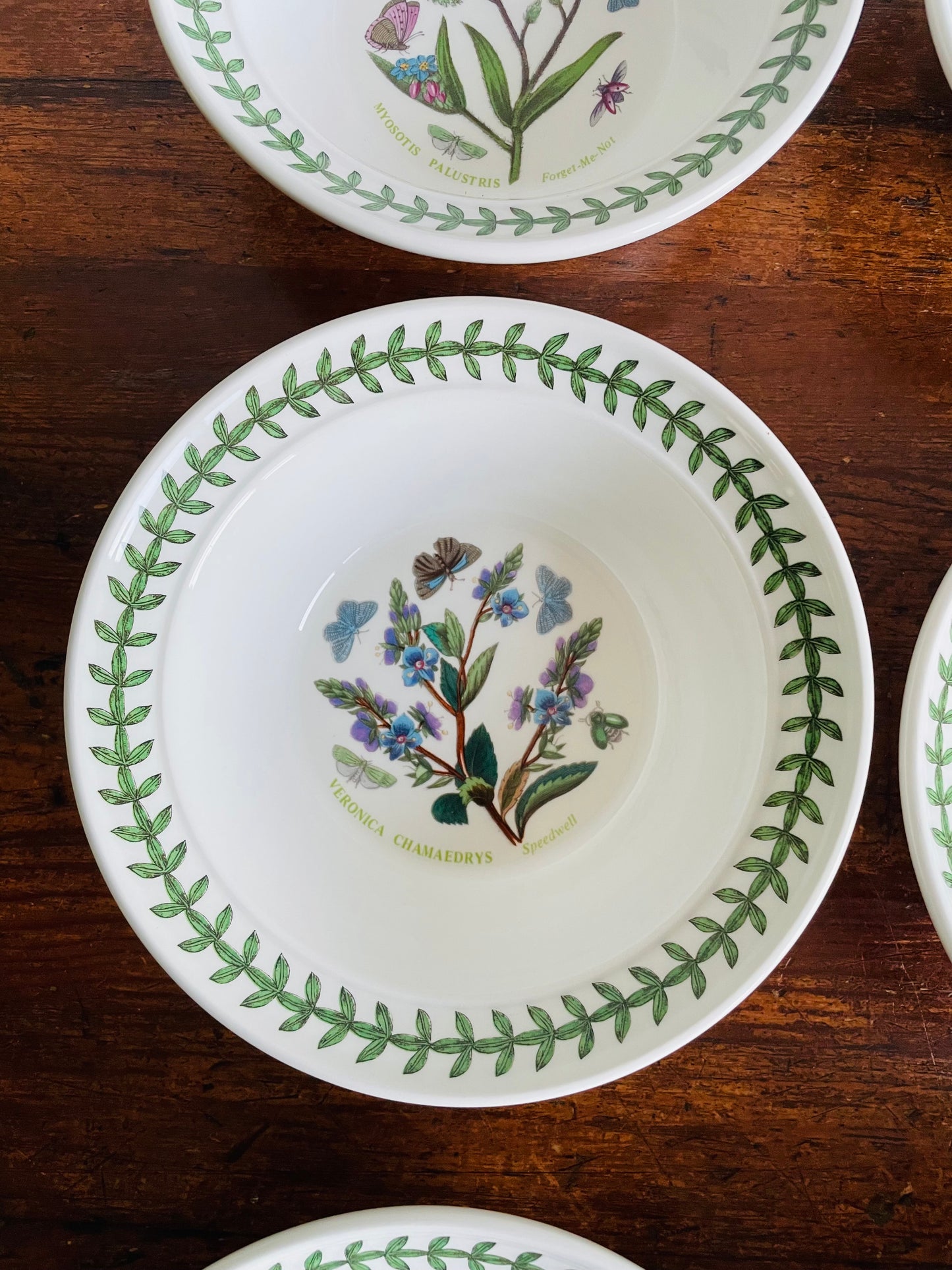 Portmeirion Susan Williams-Ellis Botanic Garden 6.5" Bowls - Set of 6 - Made in Britain