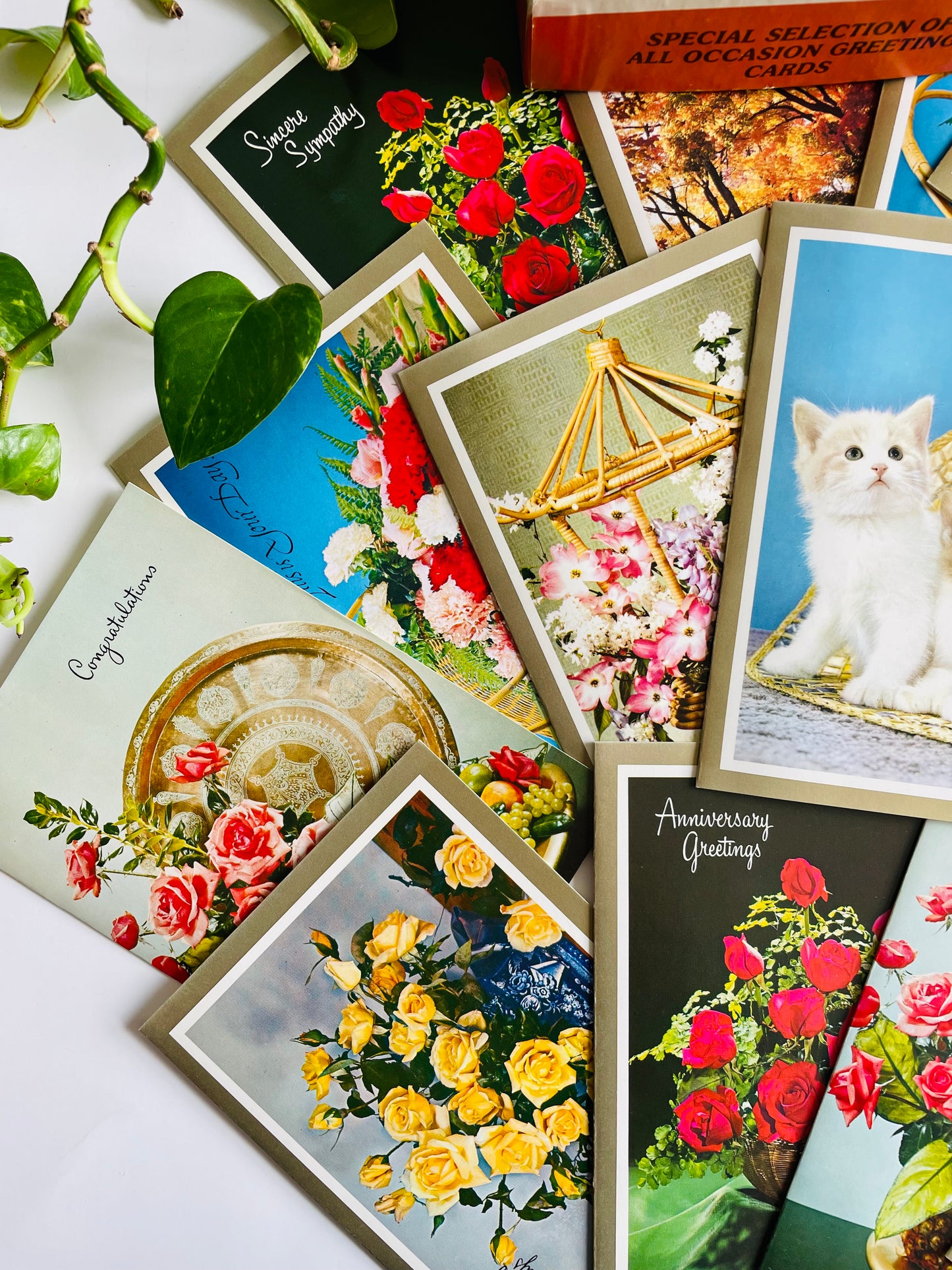 Vintage Box of Unused Assorted Greeting Cards for All Occasions - Floral, Kitten & Nature Theme - Set of 18 with Envelopes