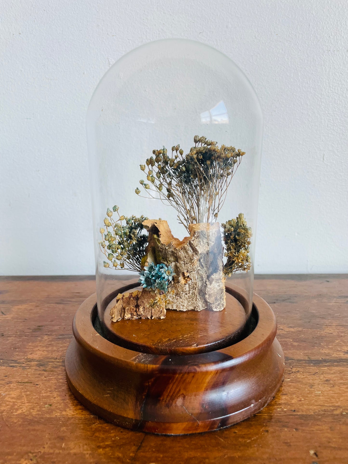 Vintage Glass Terrarium Cloche Dome on Wood Base with Dried Flower Display - Nature Decor