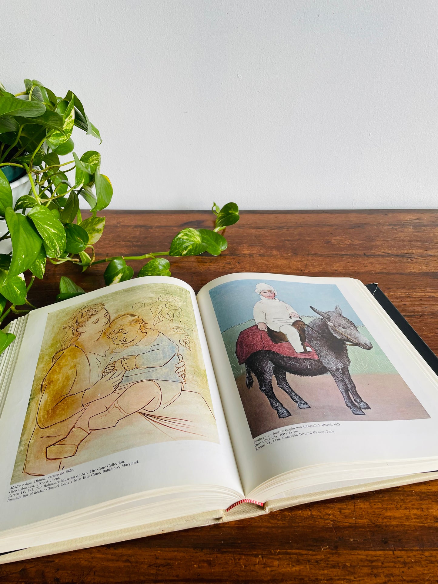 Pablo Picasso Retrospectiva Giant Hardcover Coffee Table Book - The Museum of Modern Art New York - Spanish Text (1980)