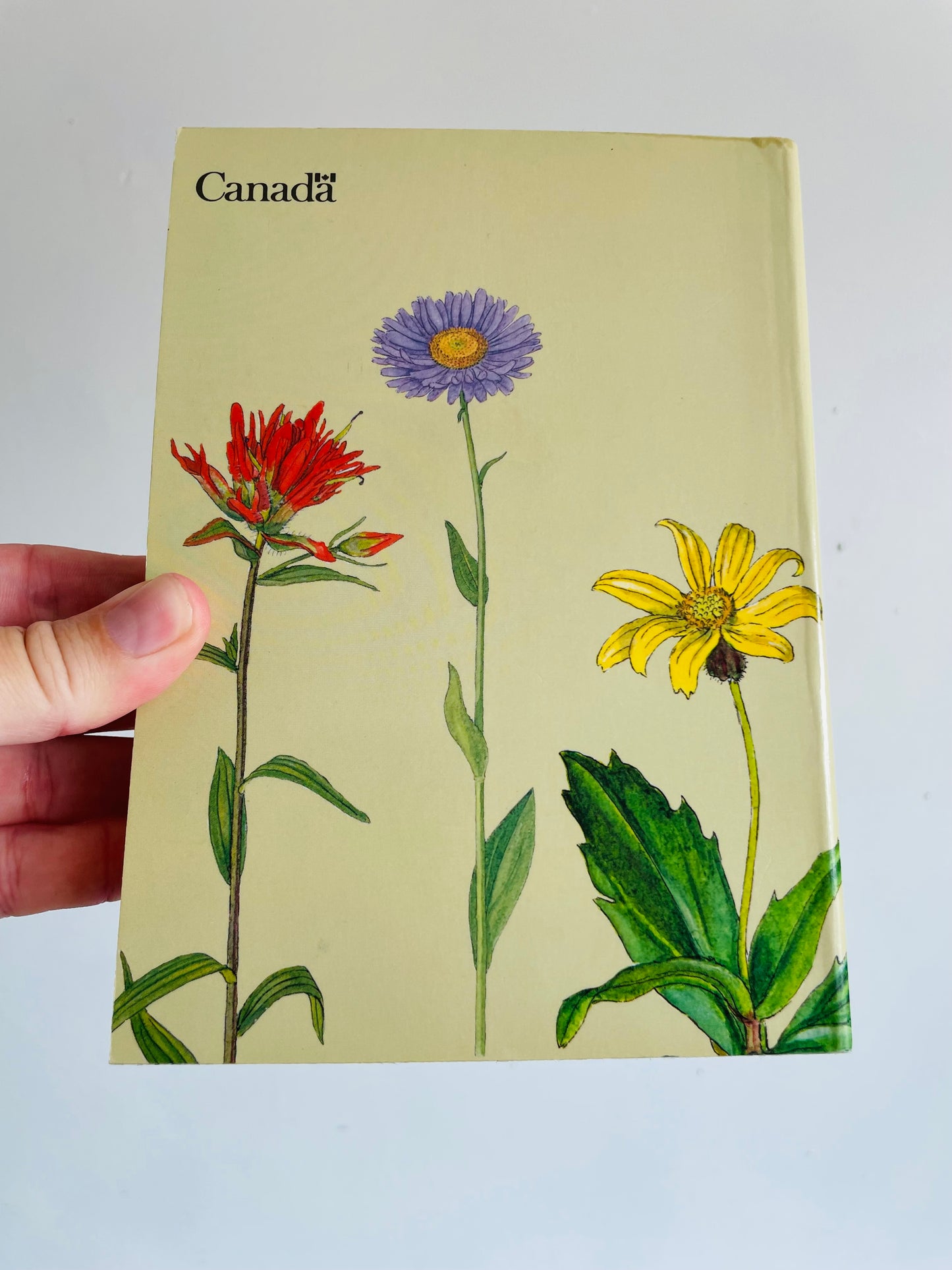 Rocky Mountain Wild Flowers Book (1979) By A.E. Porsild with Illustrations by Dagny Tande Lid