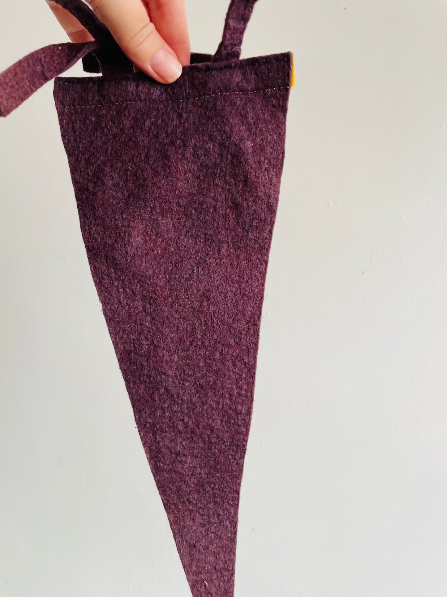 Truro Canada Nova Scotia Felt Flag Pennant