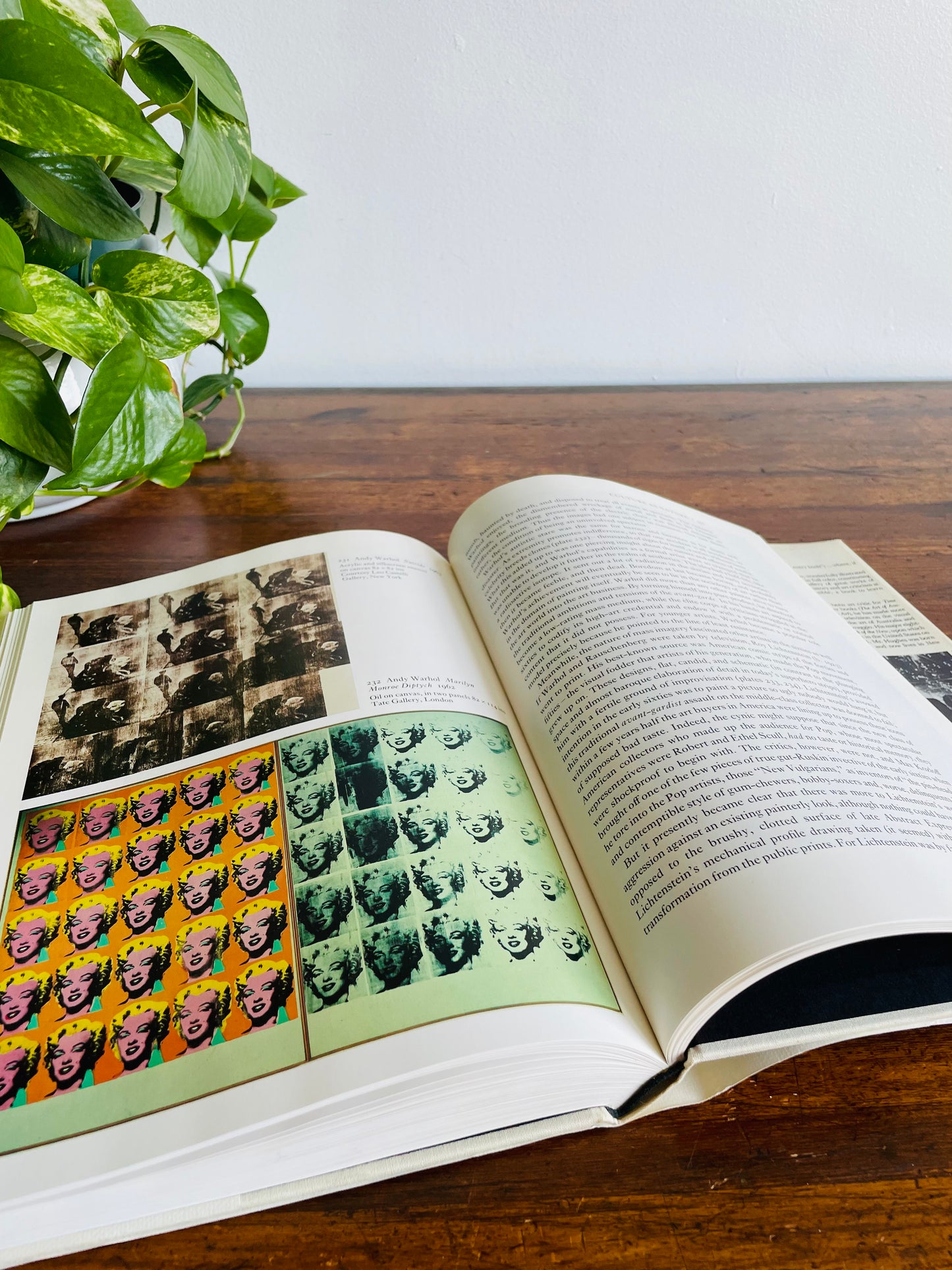 The Shock of The New: The Hundred-Year History of Modern Art Hardcover Book by Robert Hughes (1980)