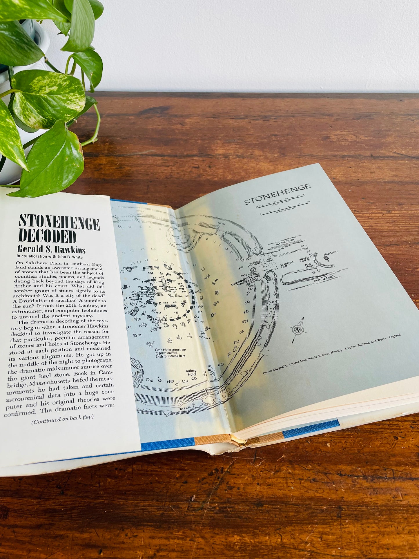 The Suspicious Book Bundle for Suspicious People - Dictionary of Earth Mysteries, Loch Ness Monster & Stonehenge Decoded - Set of 3 Books