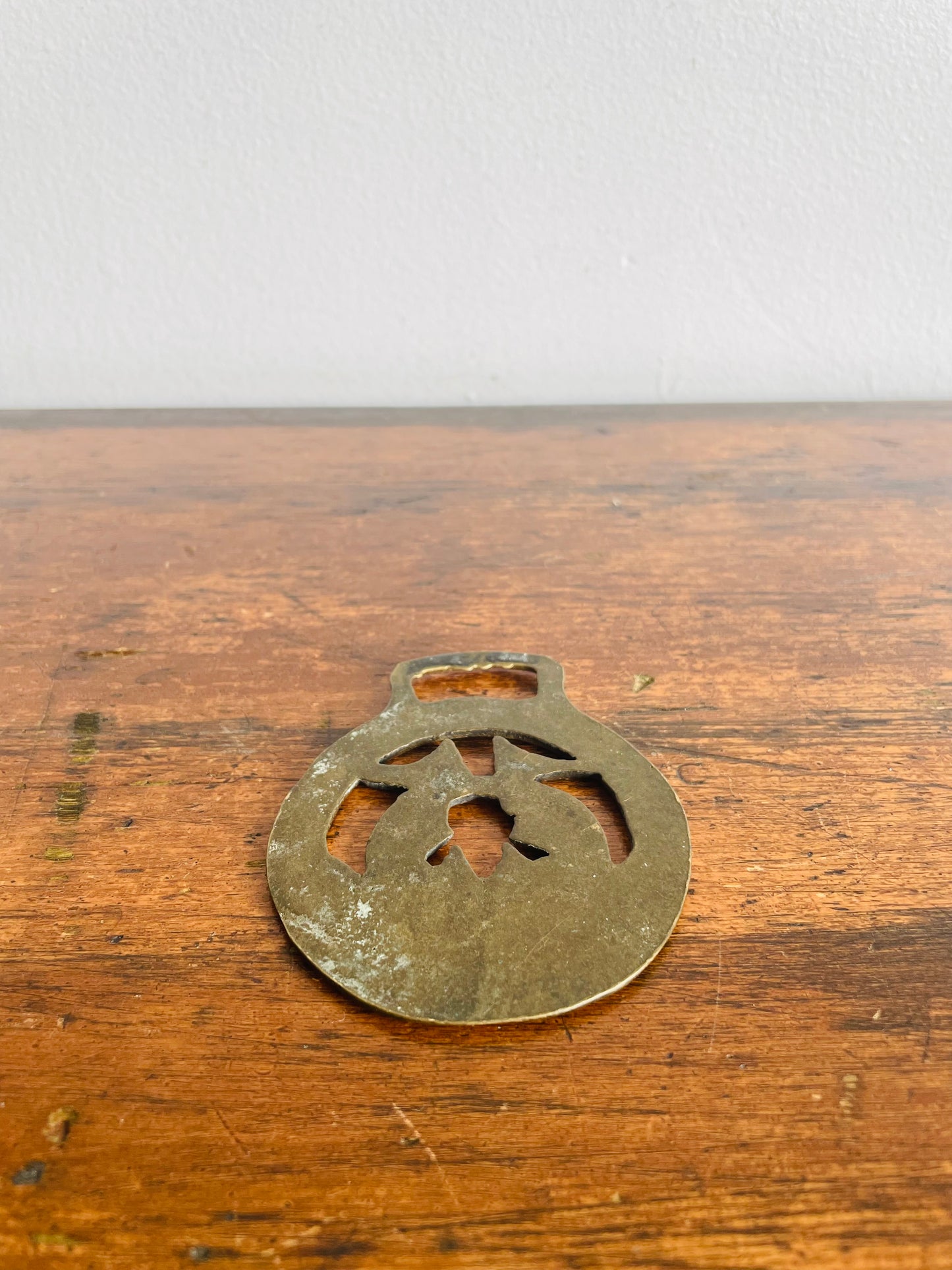 Horse Brass Medallion Hanging Wall Decor with Pisces Fish Zodiac Astrology Sign