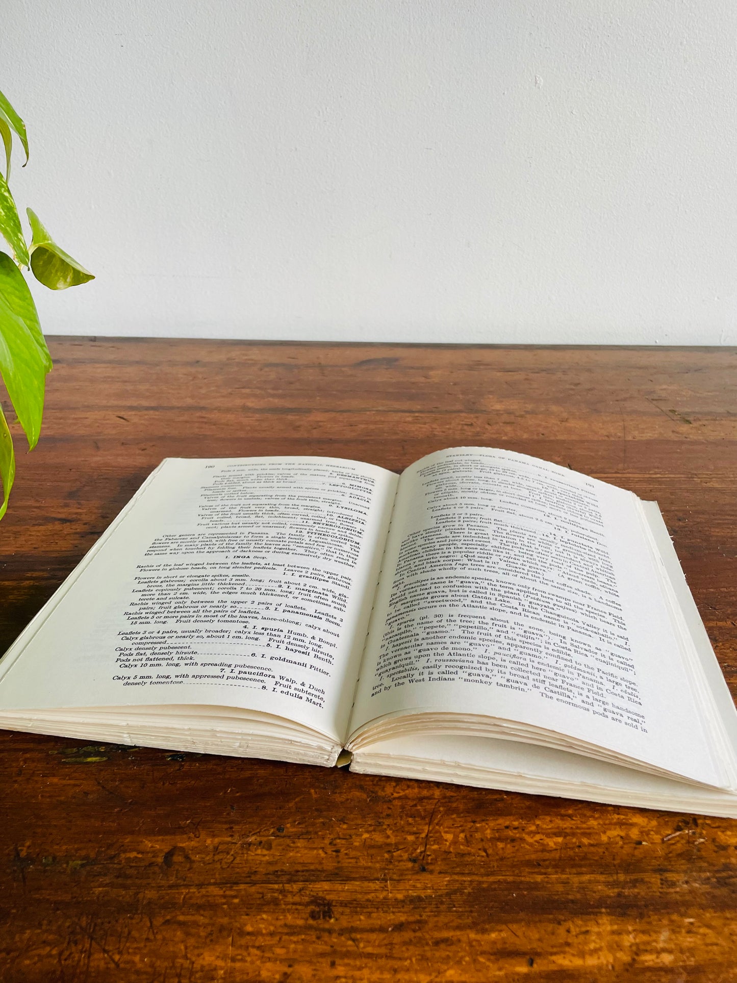 Flora of the Panama Canal Zone by P.C. Standley - Reprints of US Floras Volume 1 Paperback Book (1968)