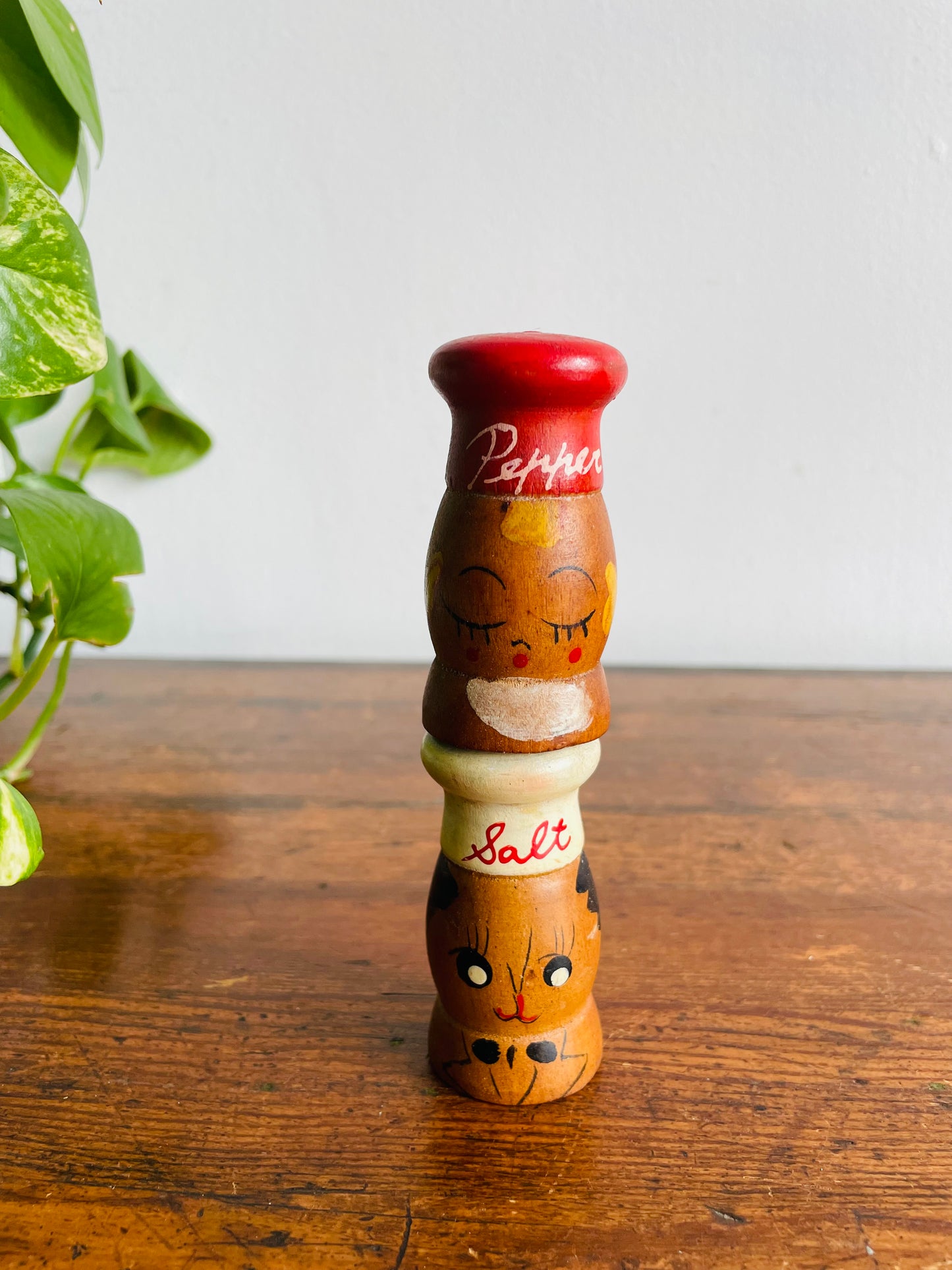Adorable Wood Salt & Pepper Shakers with Hand Painted Faces