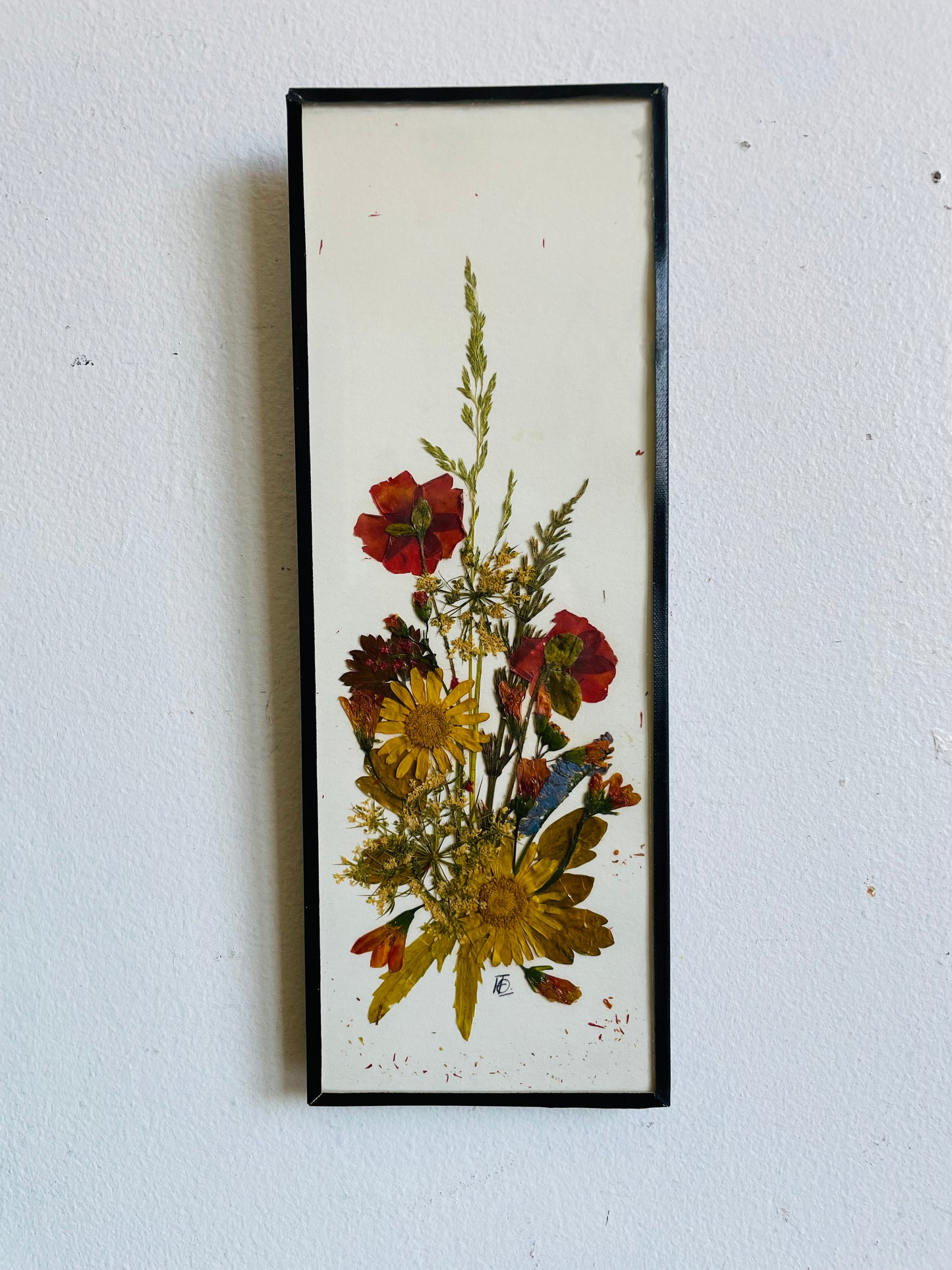 Vintage Canadian Wildflowers Meadowcharm Pressed Dried Flowers Picture - Artist Signed - Made in Canada