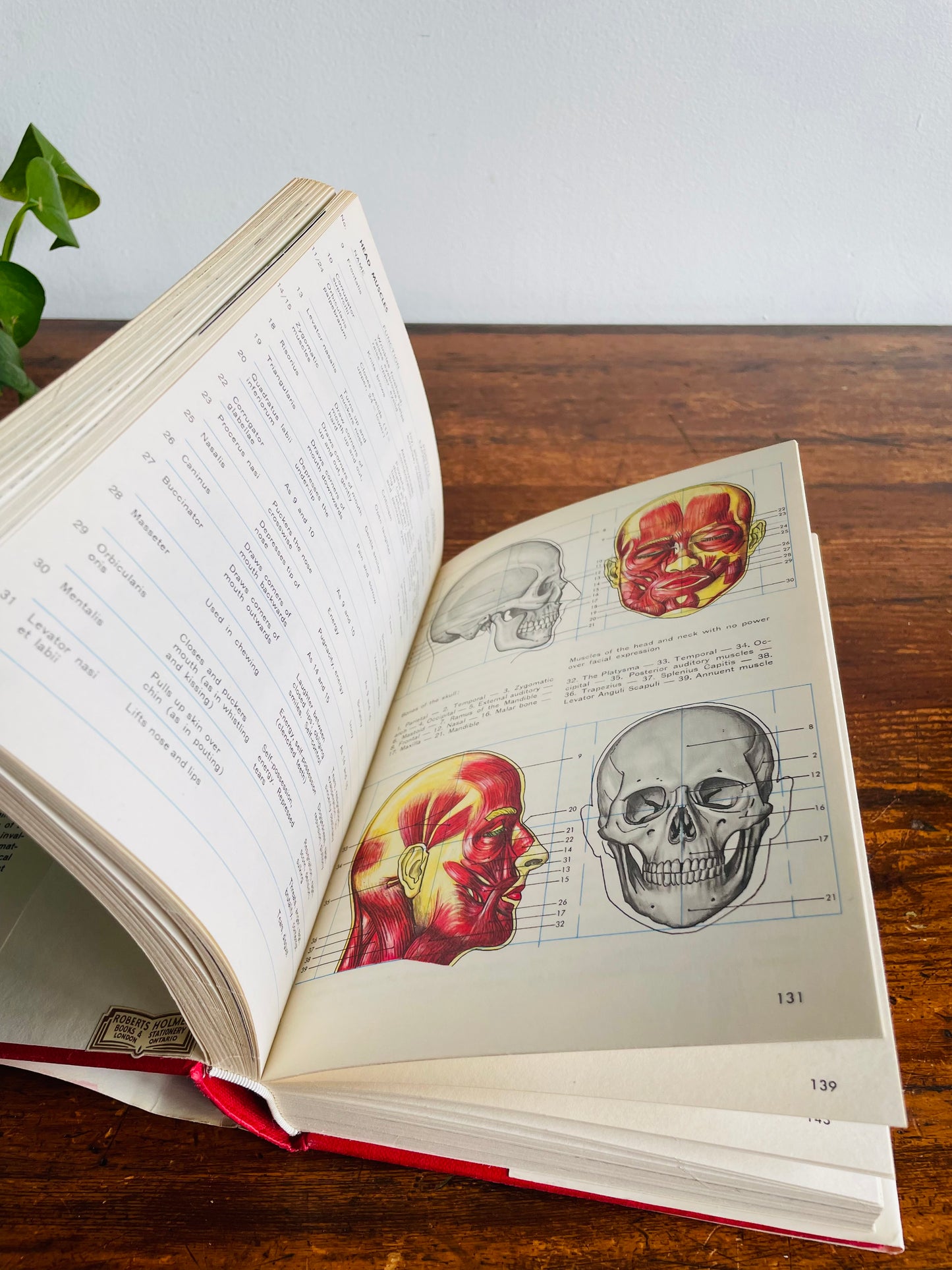 How to Paint and Draw by Bodo W. Jaxtheimer Hardcover Book with 450 Illustrations