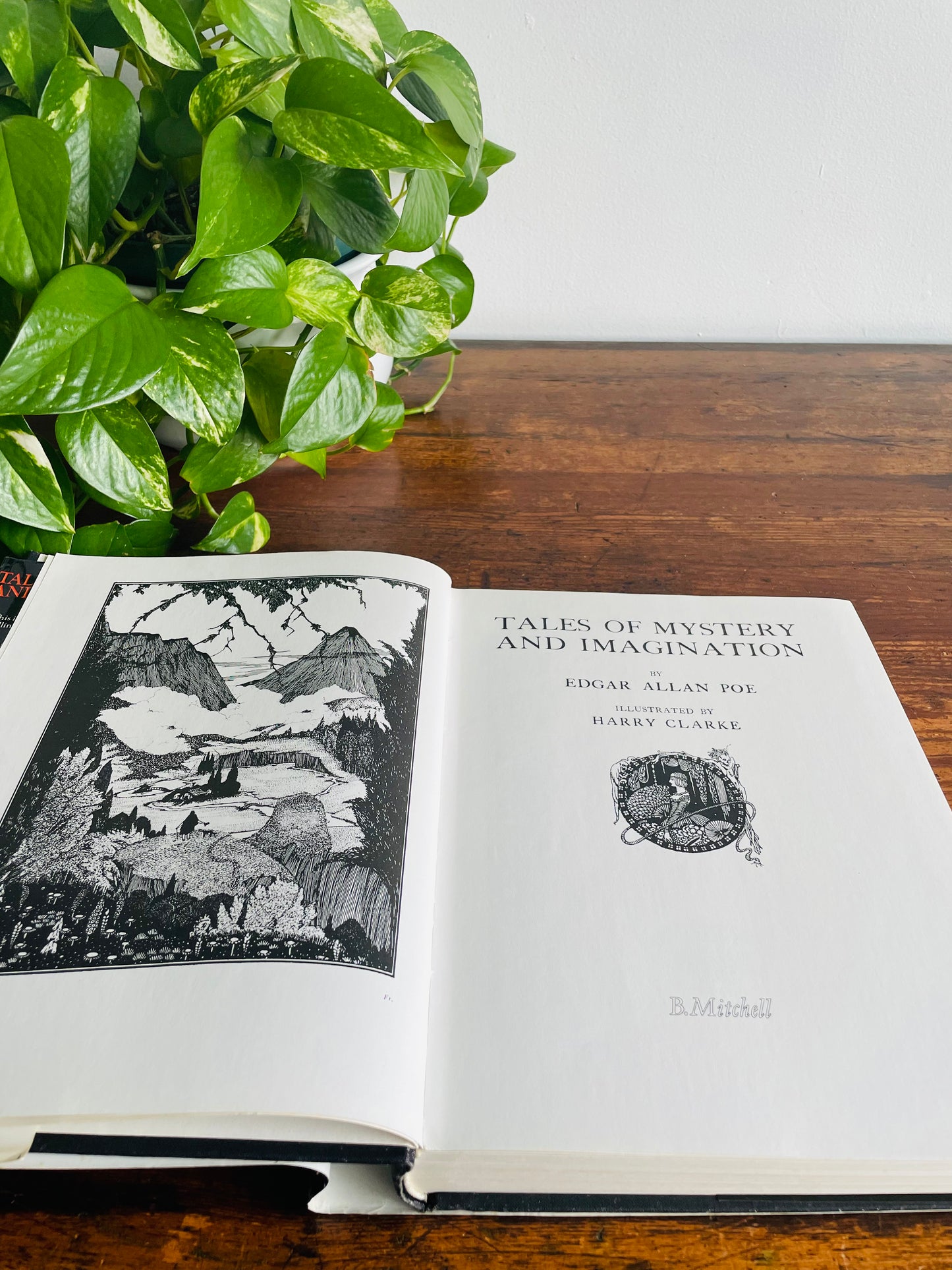 Tales of Mystery and Imagination by Edgar Allan Poe Hardcover Book Illustrated by Harry Clarke
