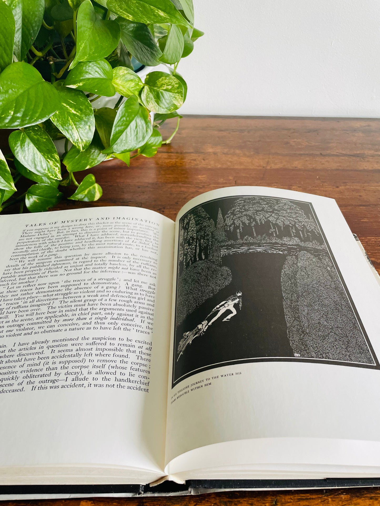 Tales of Mystery and Imagination by Edgar Allan Poe Hardcover Book Illustrated by Harry Clarke