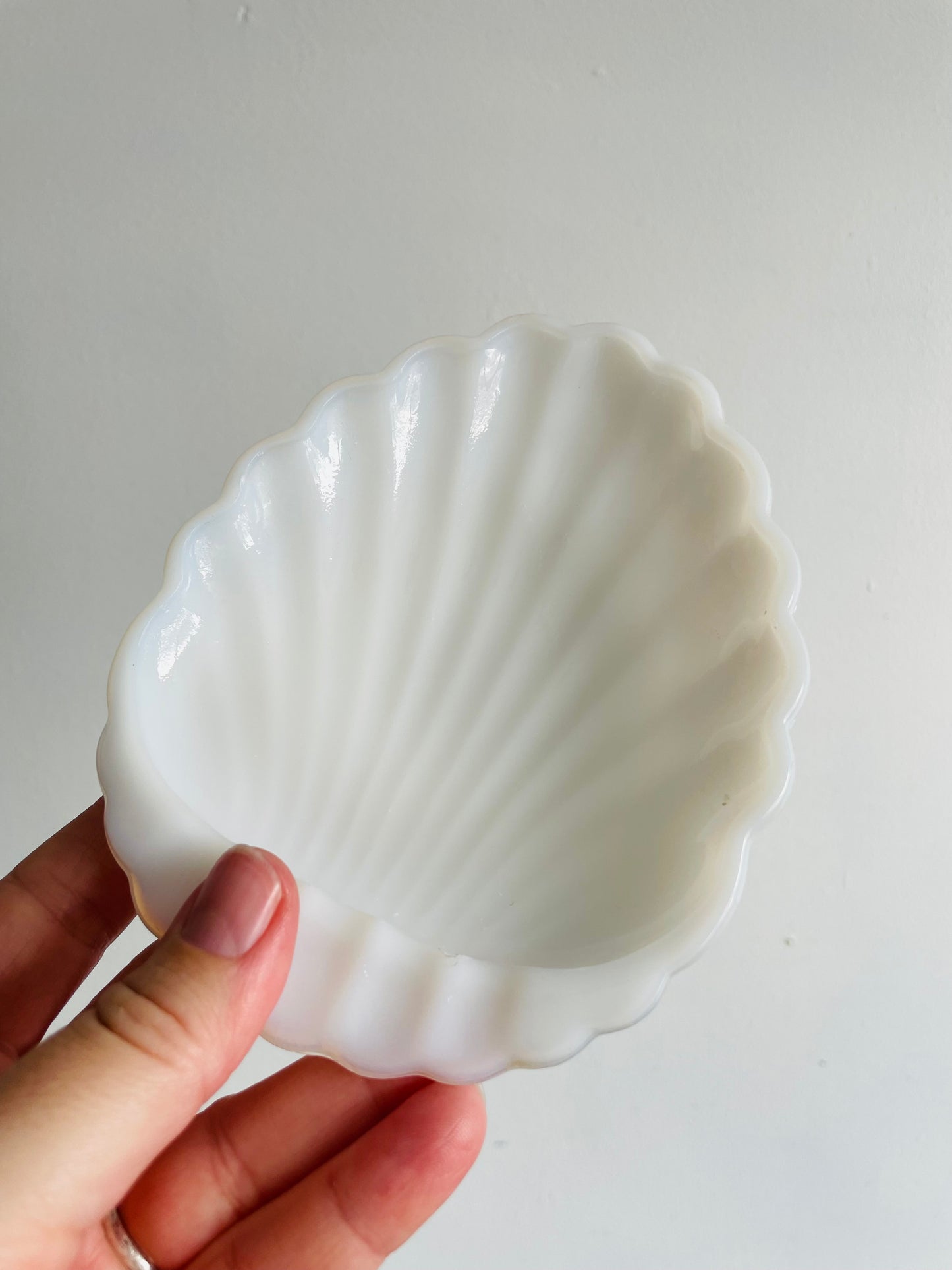 Milk Glass Shell Shaped Trinket Dish - Great for Jewellery, Soap, Scrubber, Business Cards, Etc.