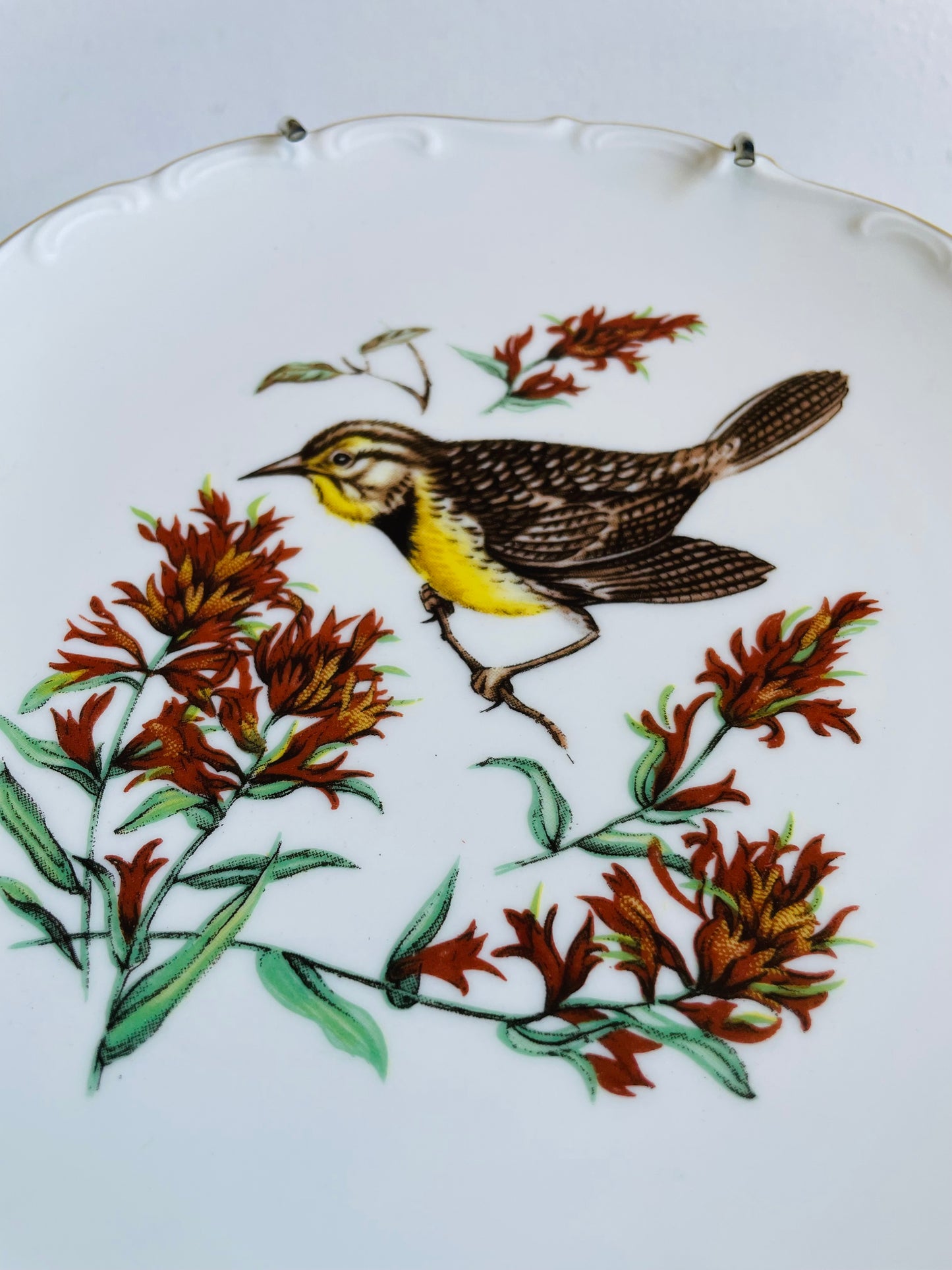 Vintage Bavaria Schumann Arzberg Germany Plate with Bird Design - Includes Wall Plate Hanger but Could Use Without