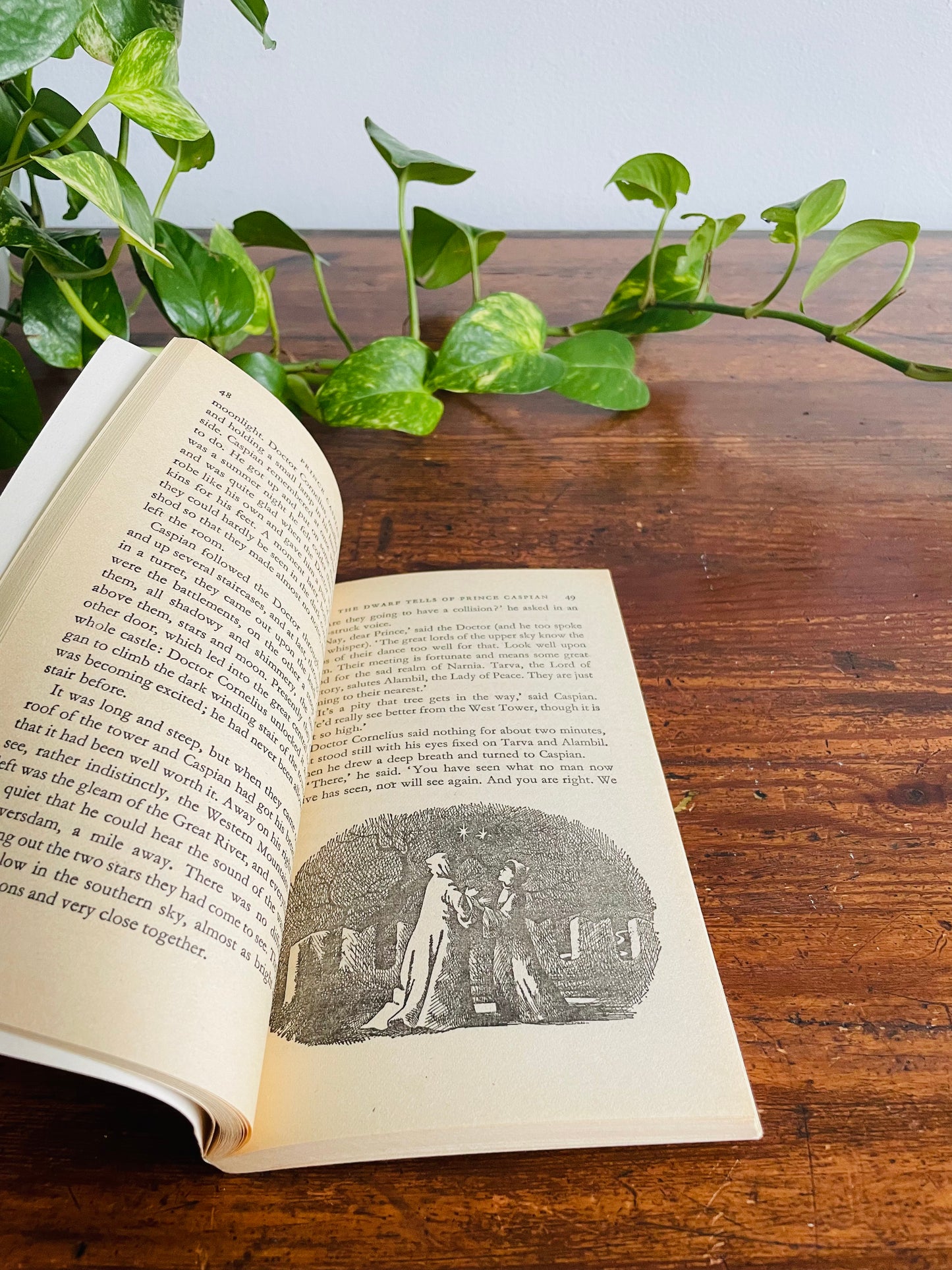 Prince Caspian Paperback Puffin Book by C. S. Lewis Illustrated by Pauline Baynes (1978)