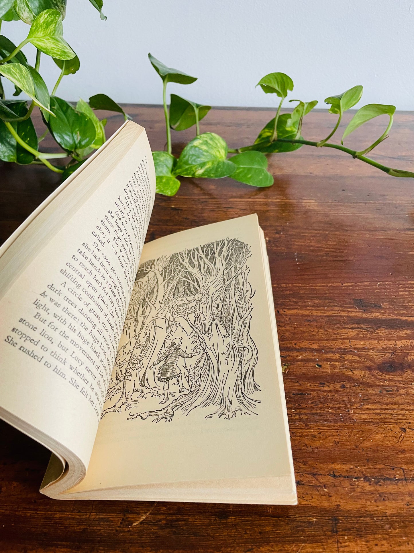 Prince Caspian Paperback Puffin Book by C. S. Lewis Illustrated by Pauline Baynes (1978)