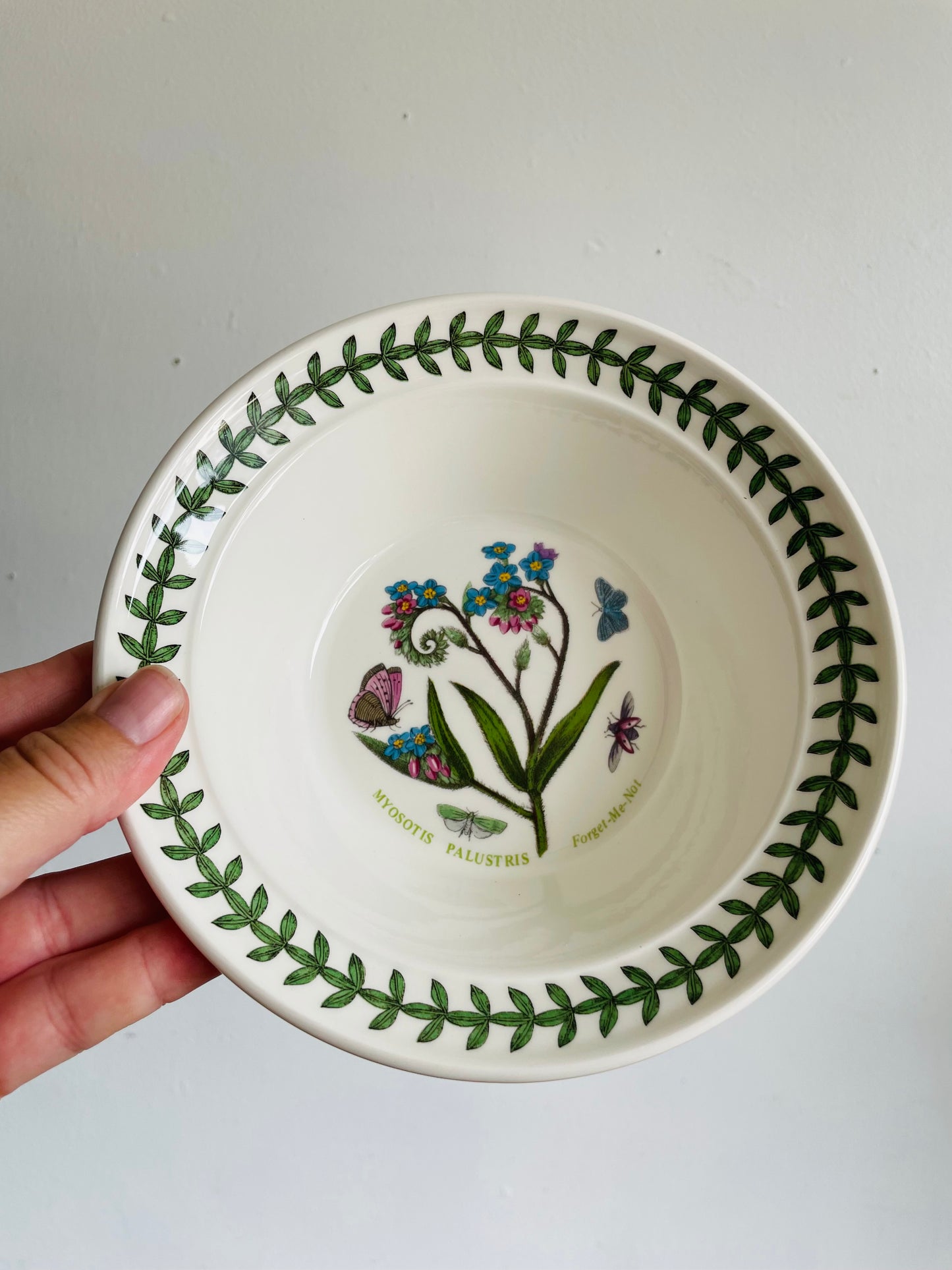 Portmeirion Susan Williams-Ellis Botanic Garden 6.5" Bowls - Set of 6 - Made in Britain