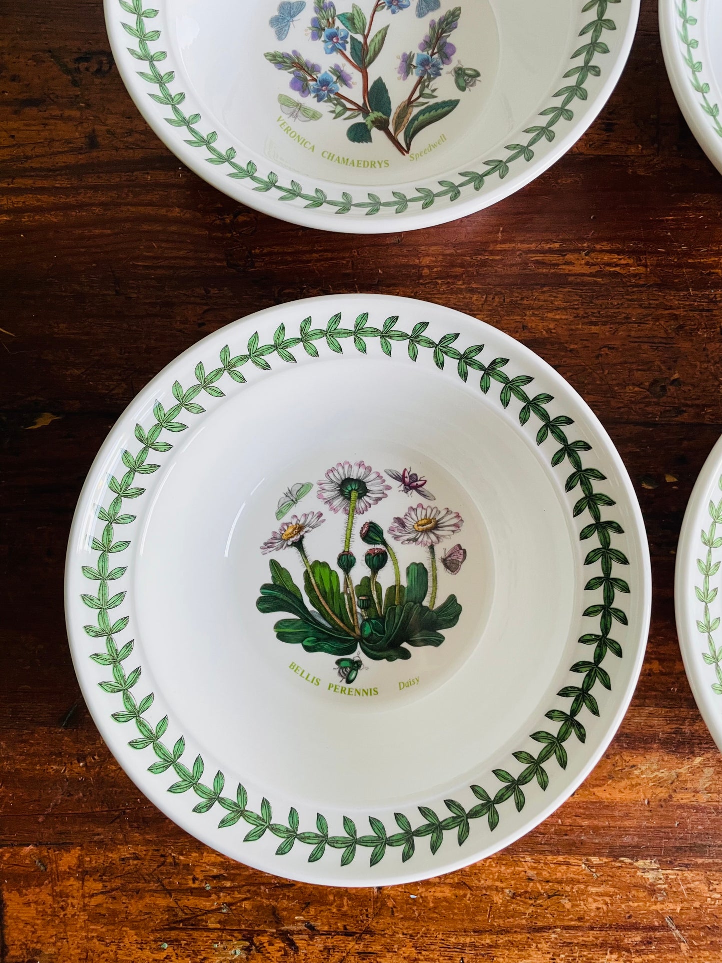 Portmeirion Susan Williams-Ellis Botanic Garden 6.5" Bowls - Set of 6 - Made in Britain