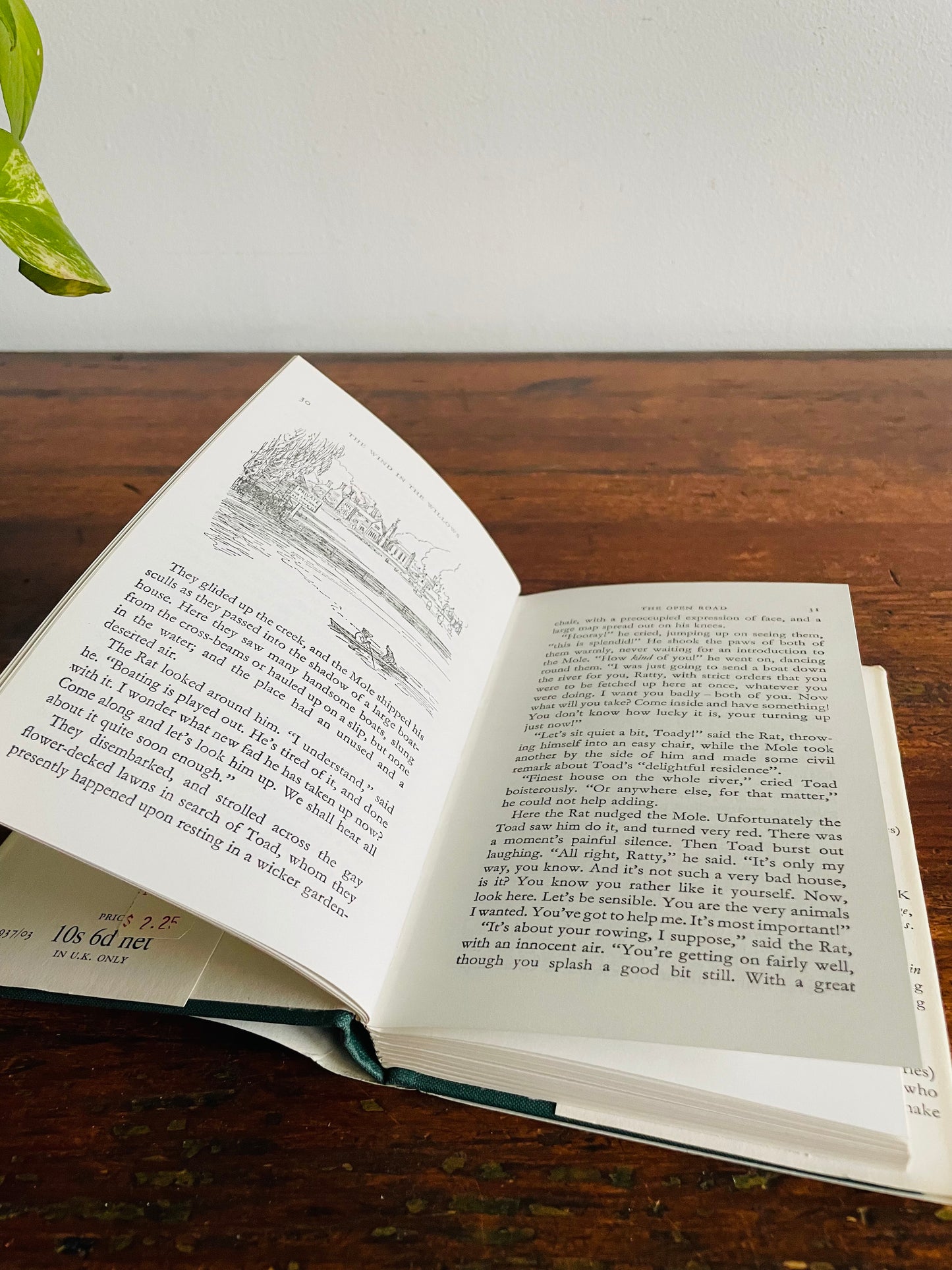 The Wind in the Willows by Kenneth Grahame Hardcover Book (1965)