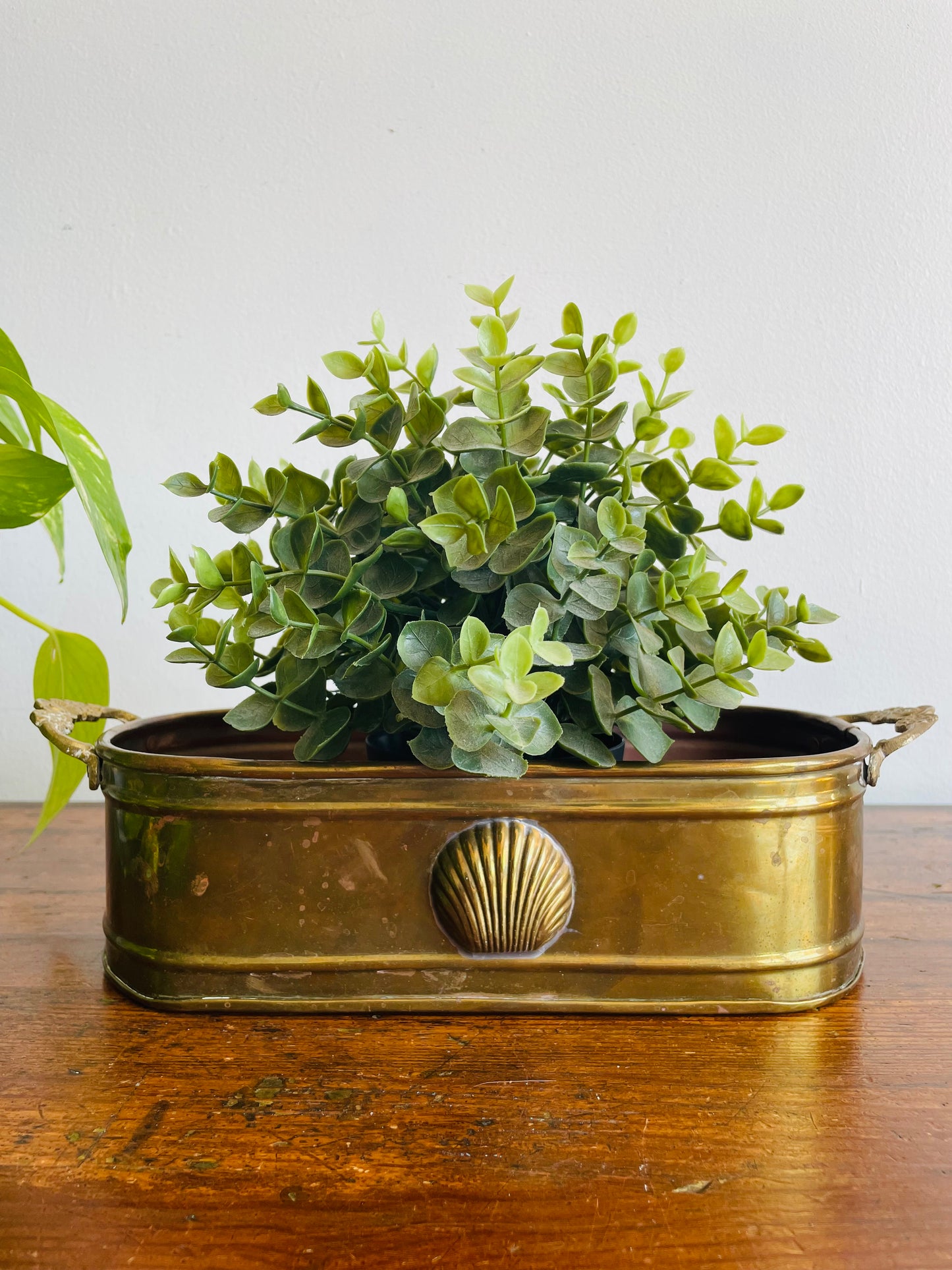 Solid Brass Long Planter Trough with Floral Handles & Shell Design - Made in India