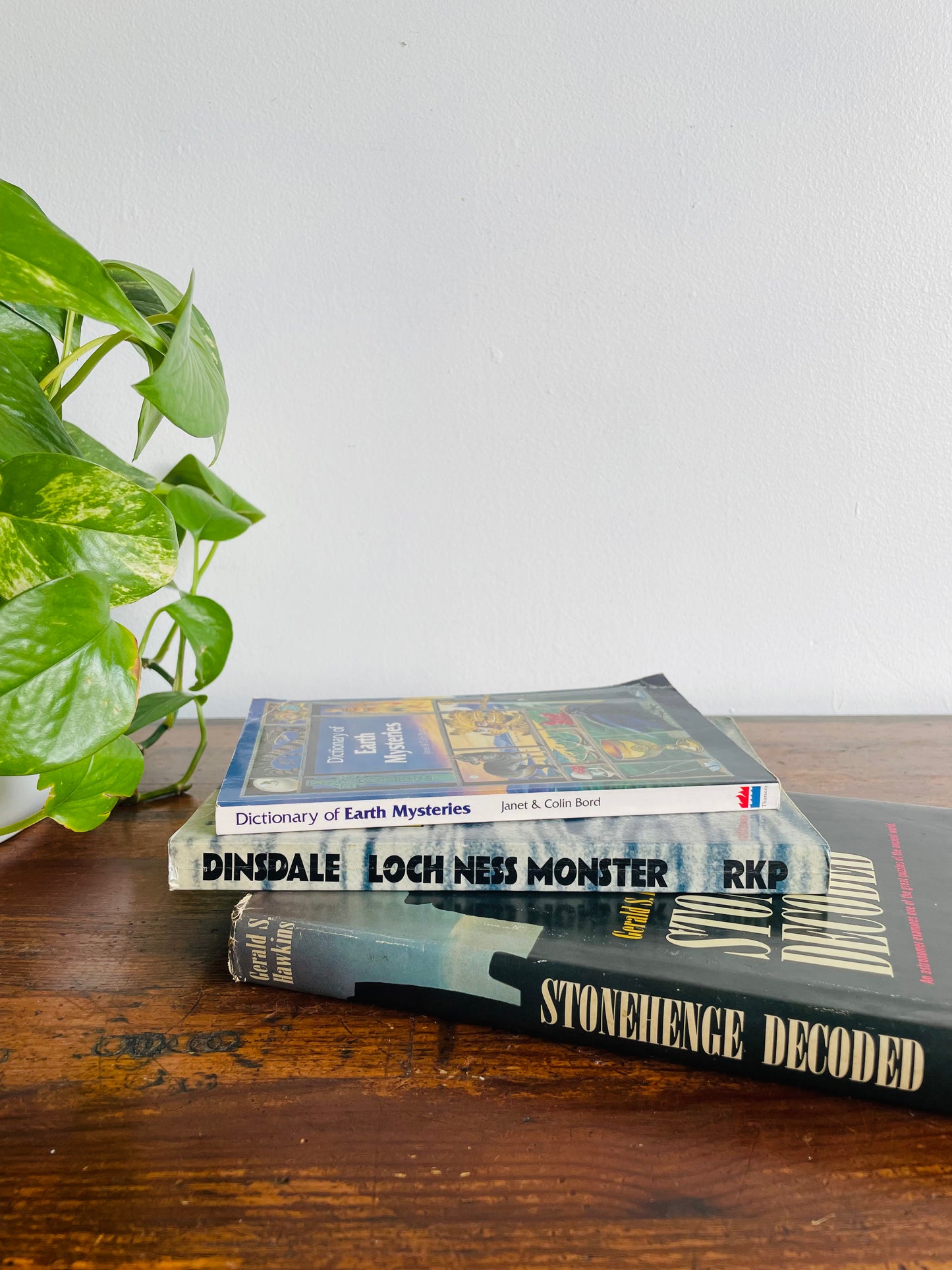 The Suspicious Book Bundle for Suspicious People - Dictionary of Earth Mysteries, Loch Ness Monster & Stonehenge Decoded - Set of 3 Books