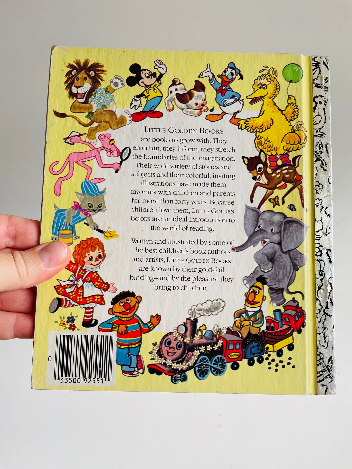 Vintage A Little Golden Book - The Gull That Lost the Sea - Hardcover (1984)