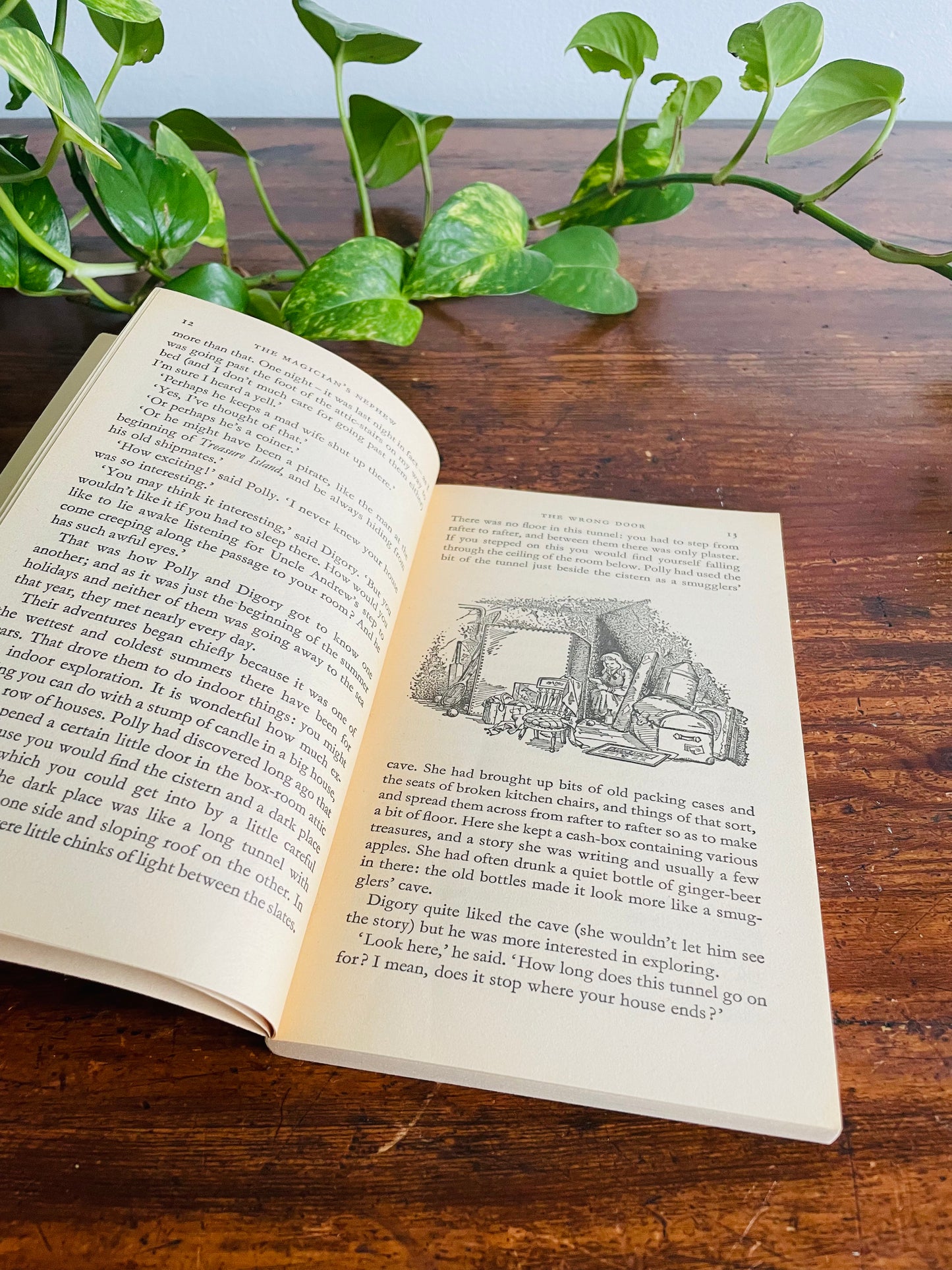 The Magician's Nephew Paperback Puffin Book by C. S. Lewis Illustrated by Pauline Baynes (1978)