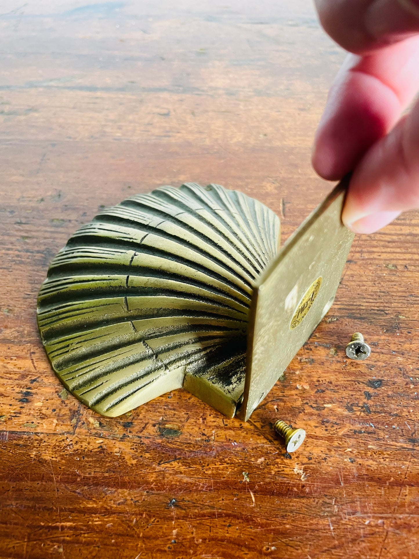 Vintage Brass Clam Shell Seashell - Pier 1 Imports - Made in Korea - Includes Screws & Ledge - Might Originally Be A Bookend?