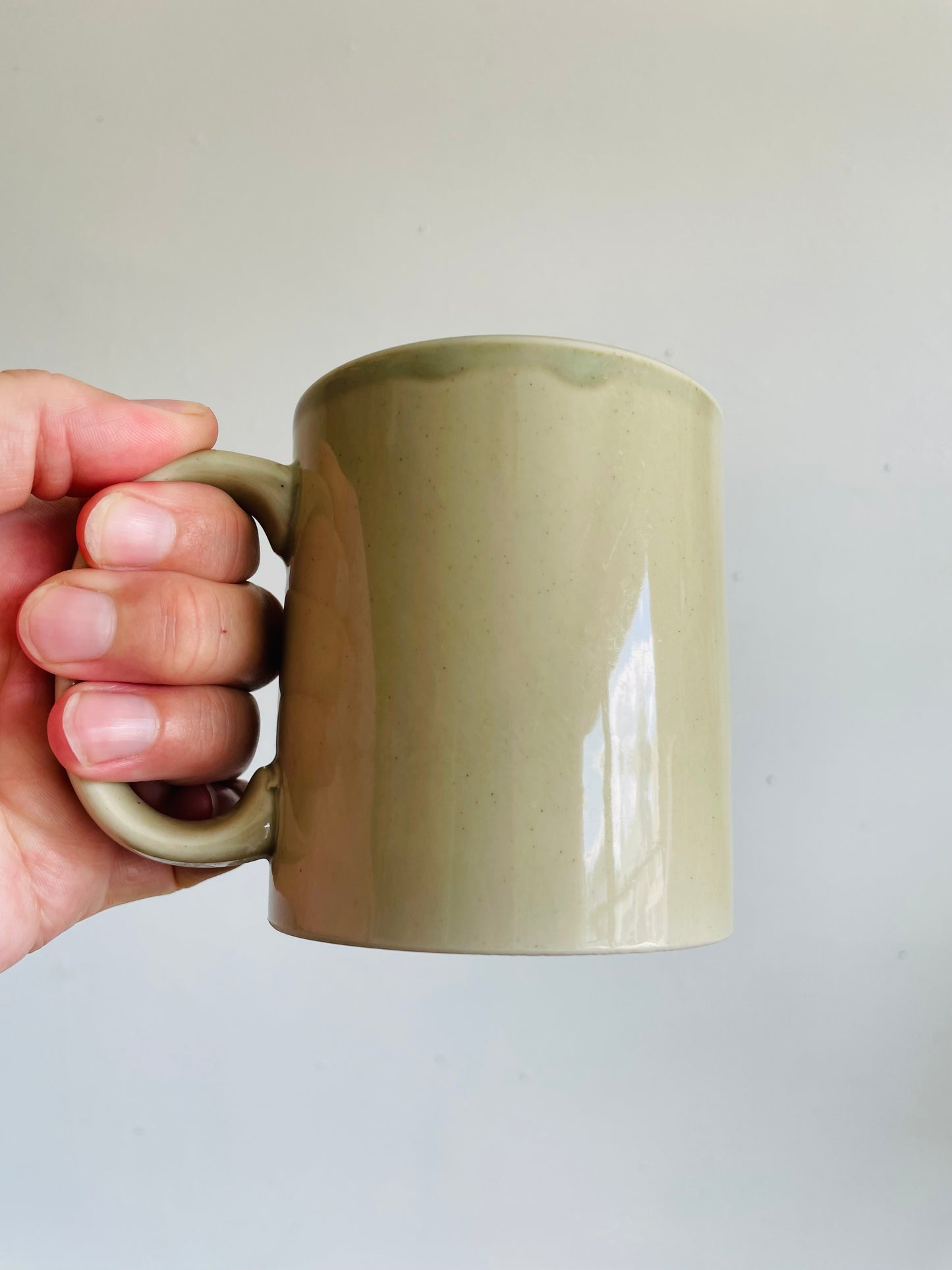 Otagiri Japan Topography of a Duck Mug