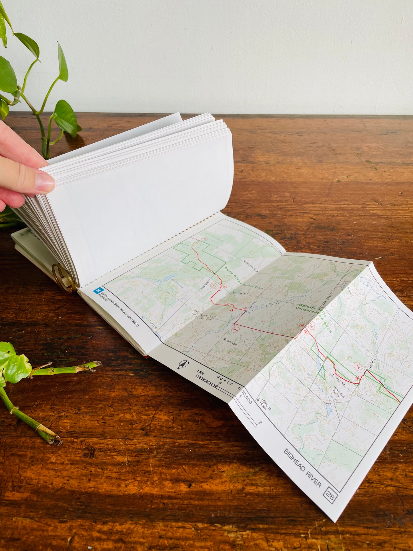 Vintage Guide to The Bruce Trail Spiral Bound Book - Seventeenth Edition (1990)