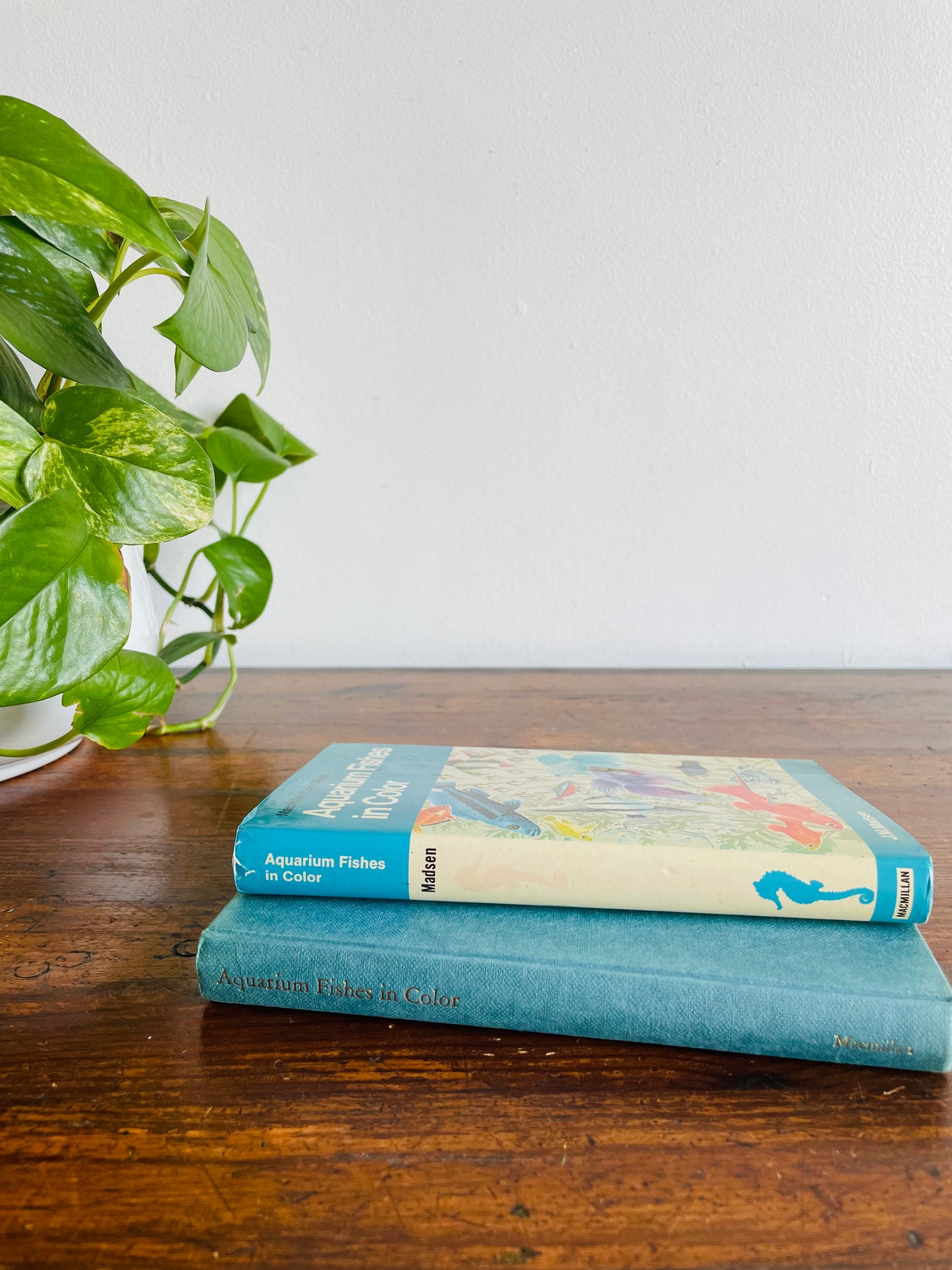 Macmillan Color Series - Aquarium Fishes in Color Hardcover Book by J. M. Madsen (1975)