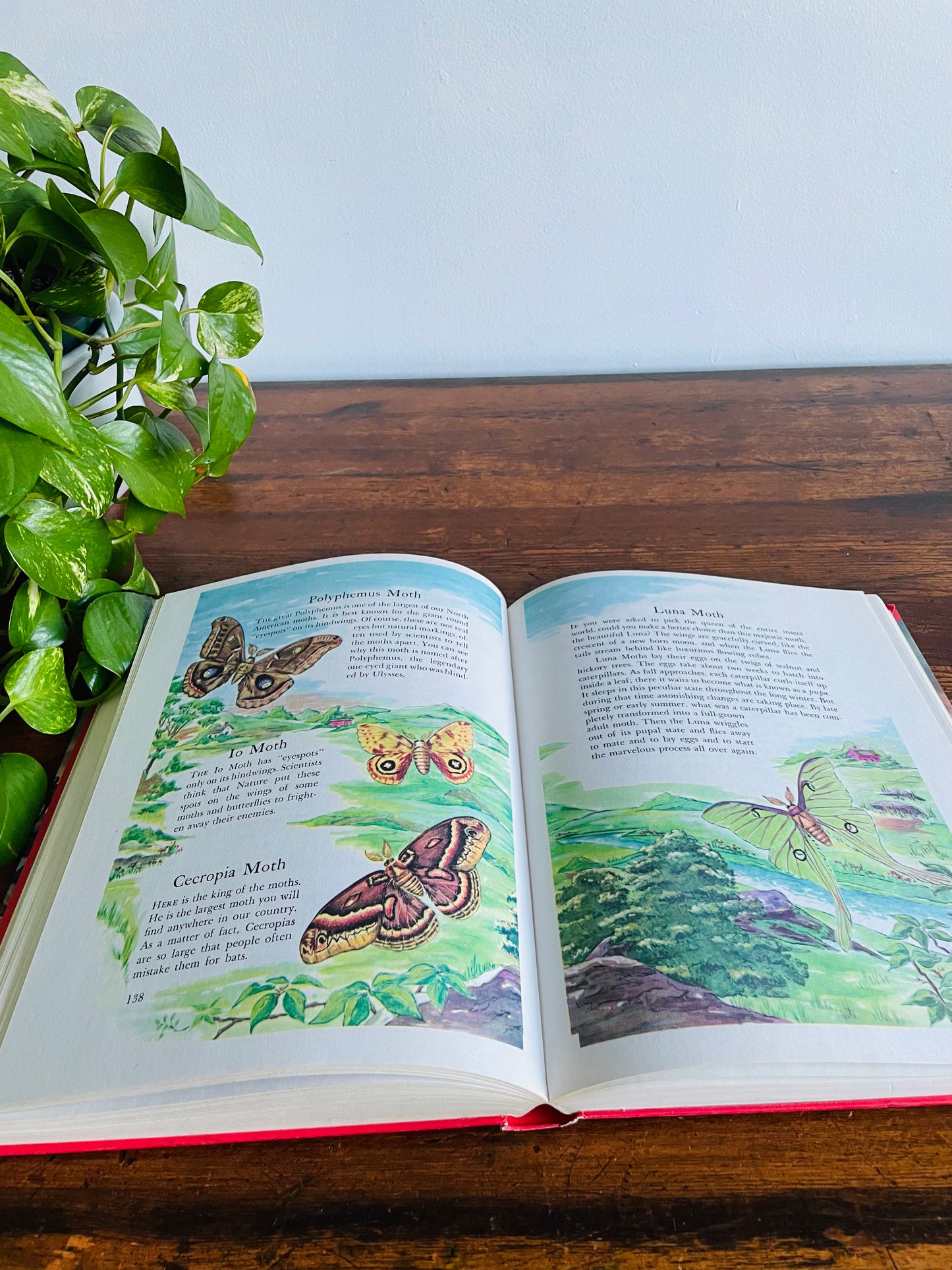Wonders of Nature: A Child's Introduction to the World of Animals, Plants, Birds, Fish & Insects Hardcover Book by Parents' Magazine Press (1974)