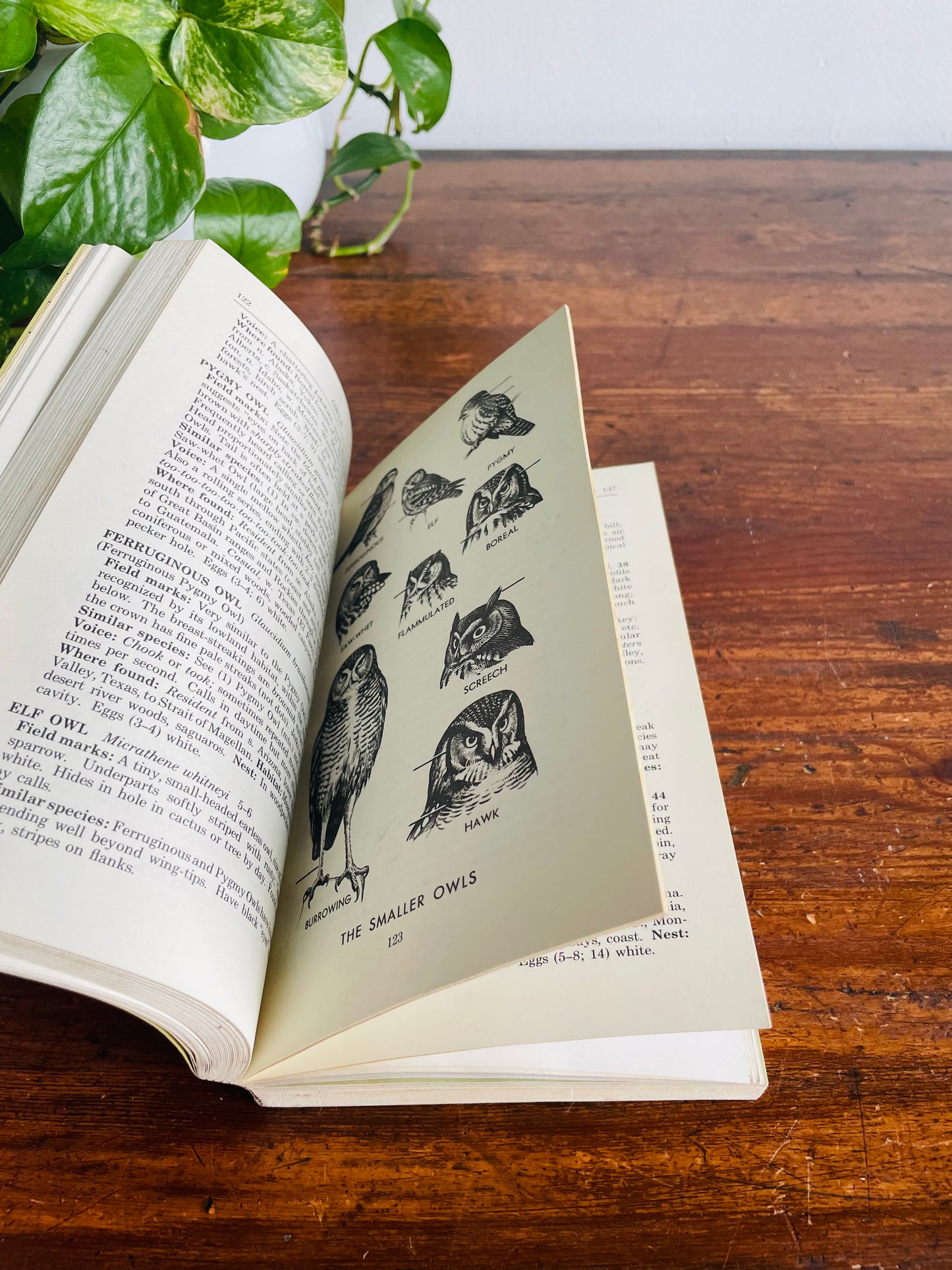 The Peterson Field Guide Series: A Guide to Western Birds Book by Roger Tory Peterson (1961)