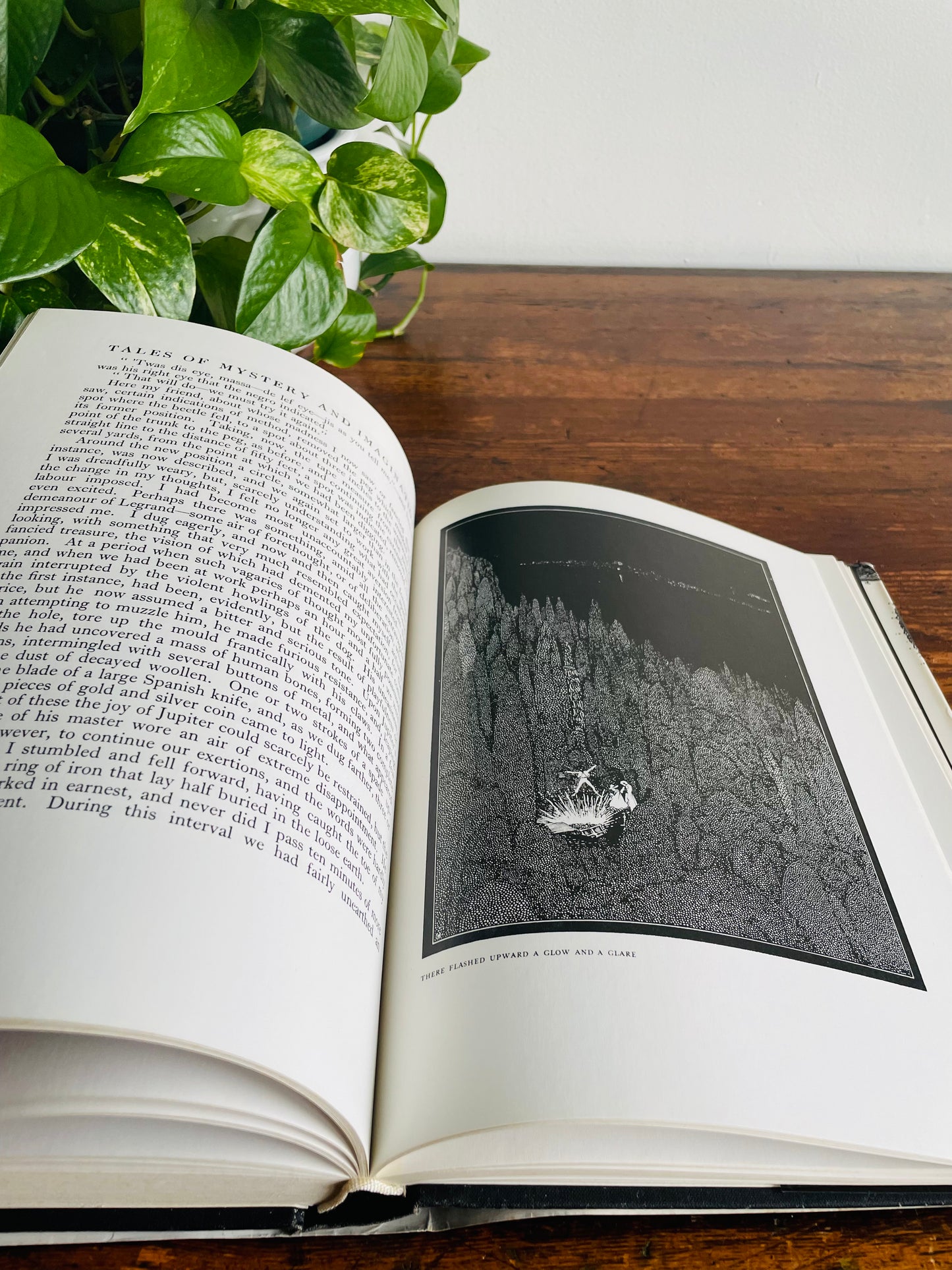 Tales of Mystery and Imagination by Edgar Allan Poe Hardcover Book Illustrated by Harry Clarke