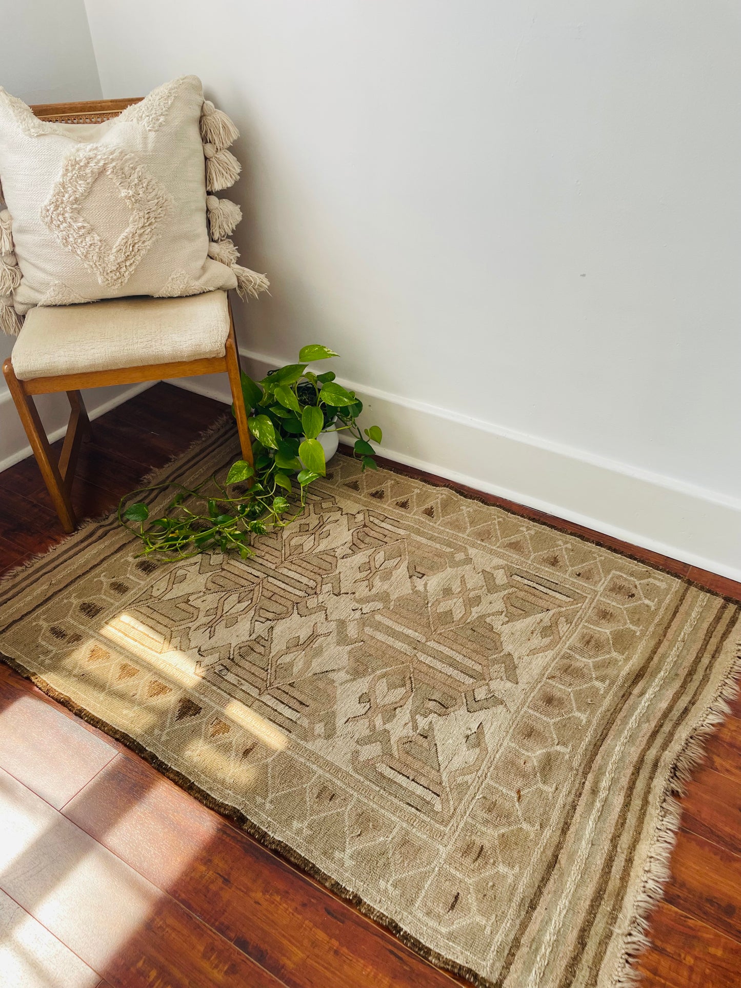 Hand Knotted Throw Rug with Beautiful Design