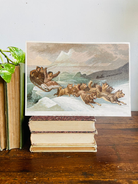 Vintage Lithograph Print Picture - "Wonderful Escape on the Breaking Up of the Ice" with Dog Sled Team in Arctic - Kronheim and Co., London