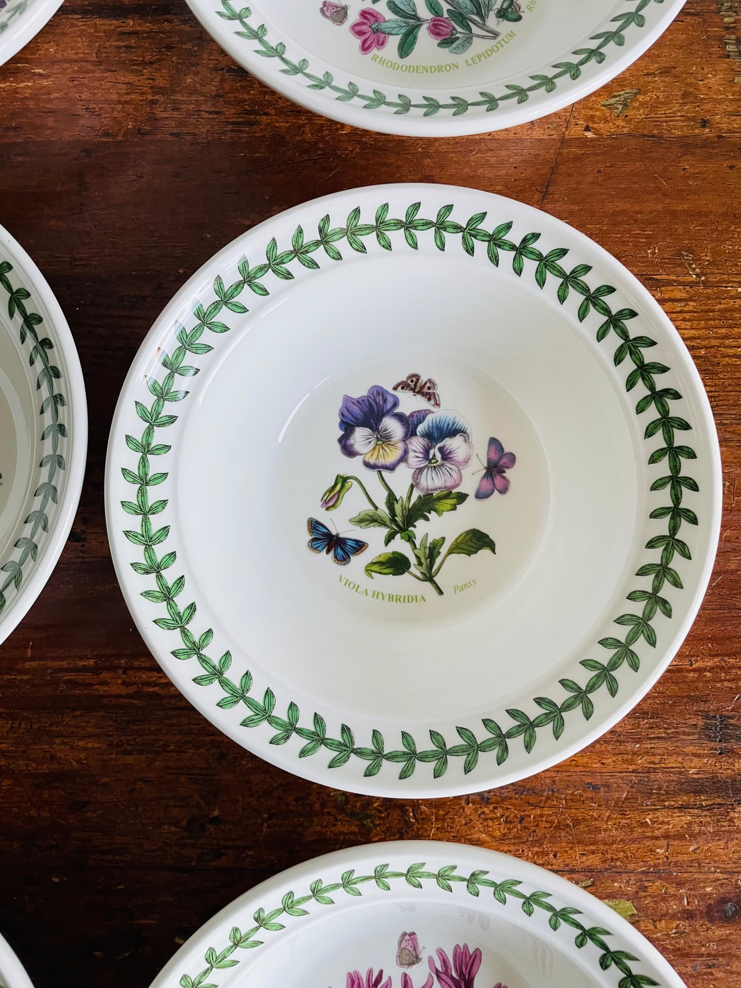 Portmeirion Susan Williams-Ellis Botanic Garden 6.5" Bowls - Set of 6 - Made in Britain
